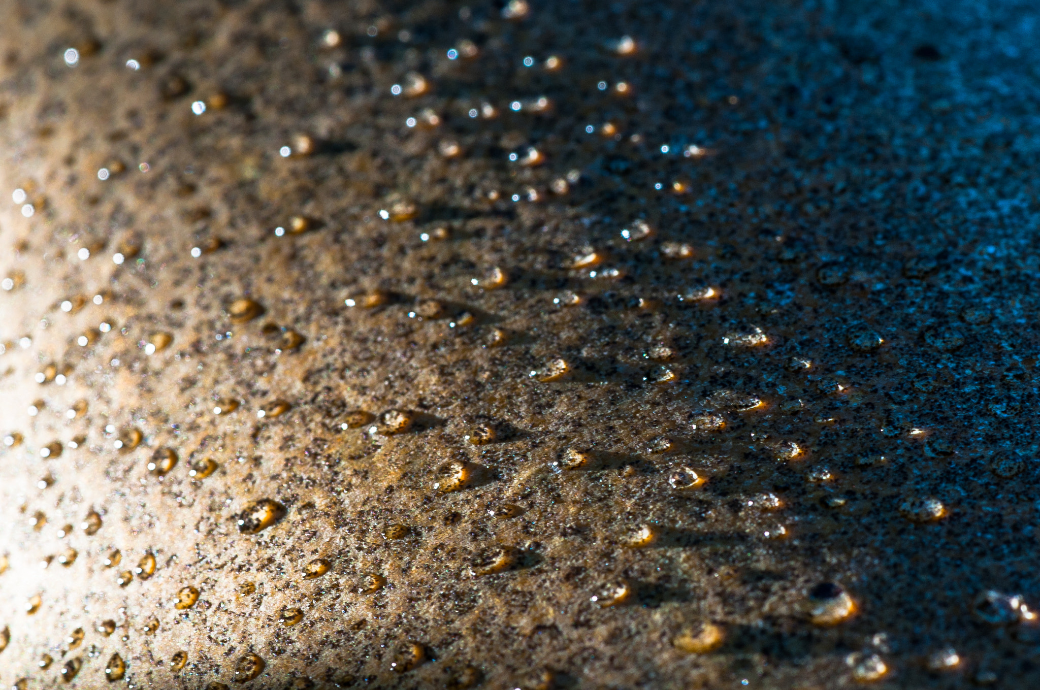 Nikon D3 sample photo. Pearls photography