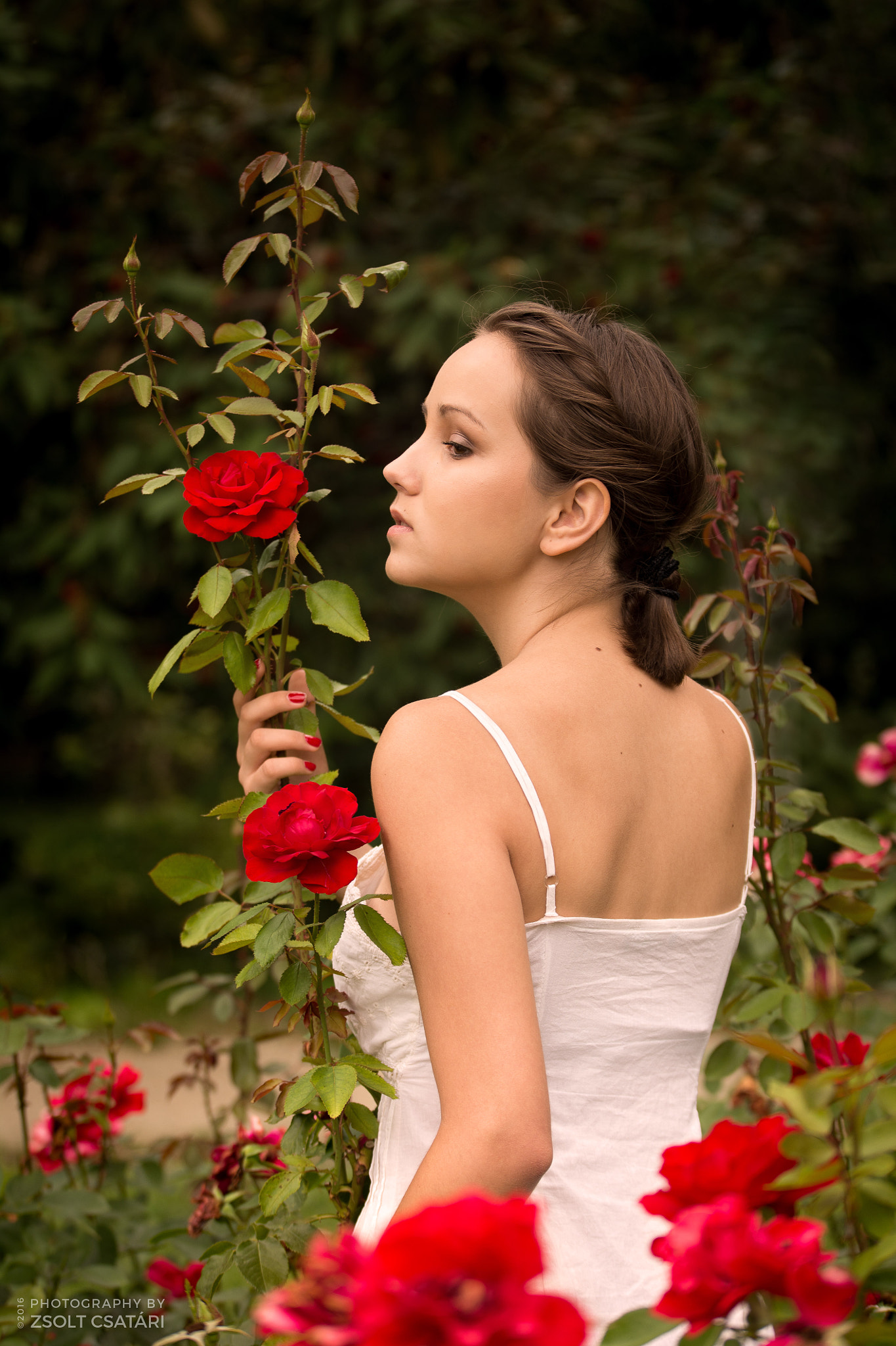 Sigma 50-150mm F2.8 EX APO DC OS HSM sample photo. Andrea photography