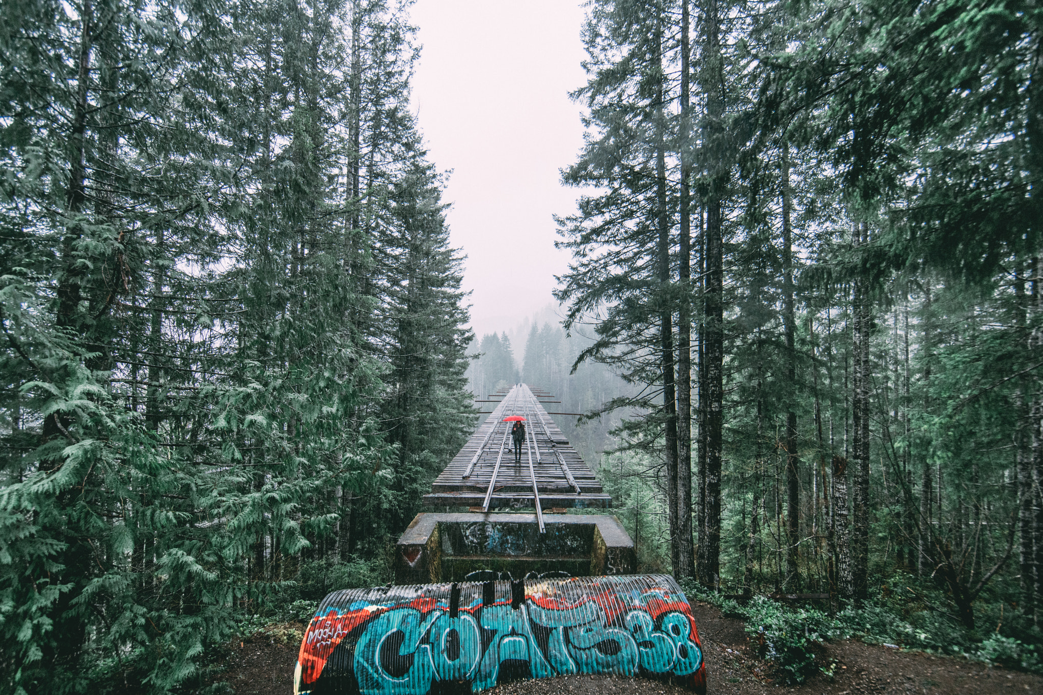 Sony a7R II + Canon EF 14mm F2.8L II USM sample photo. That pnw bridge photography