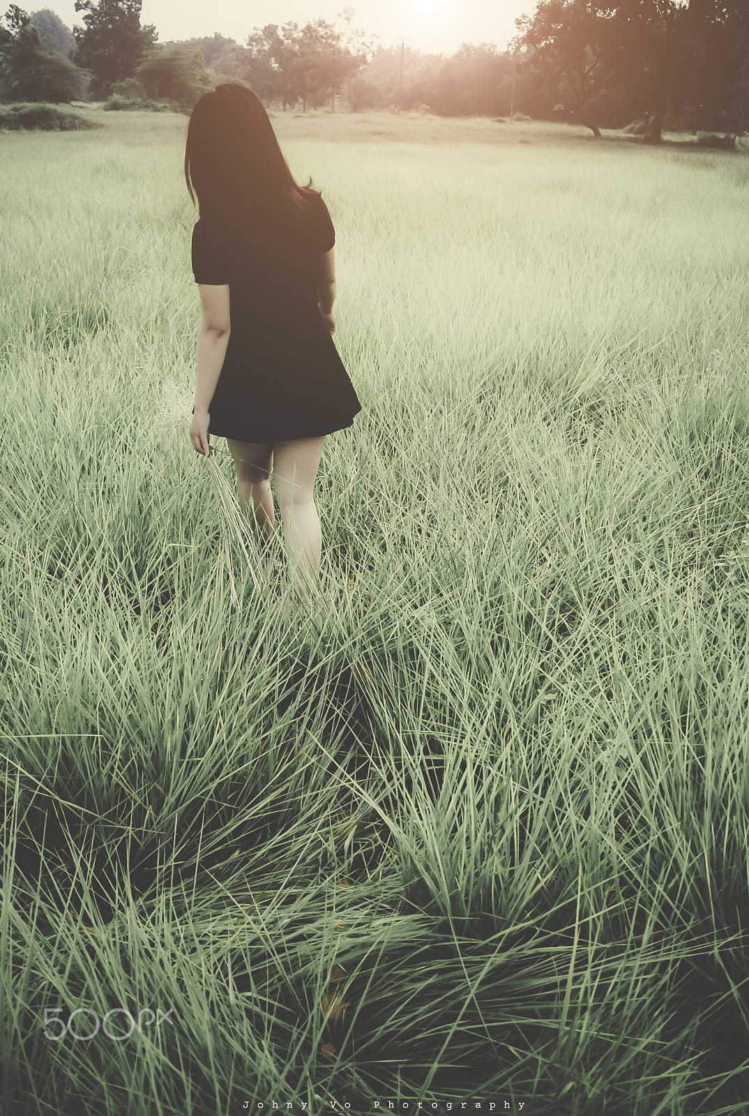 Nikon D80 sample photo. "all will be fine, deep breathing for a new day"#nikond80 #240816 photography
