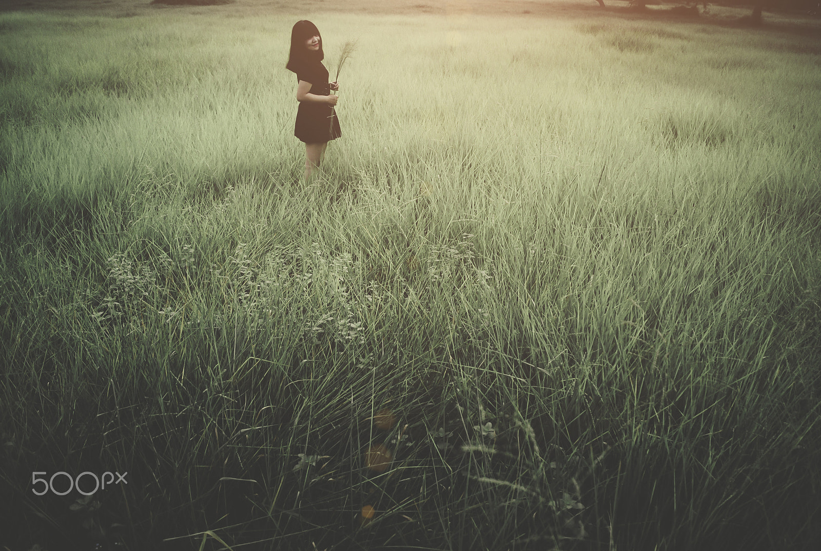 Nikon D80 sample photo. "all will be fine, deep breathing for a new day"#nikond80 #240816 photography