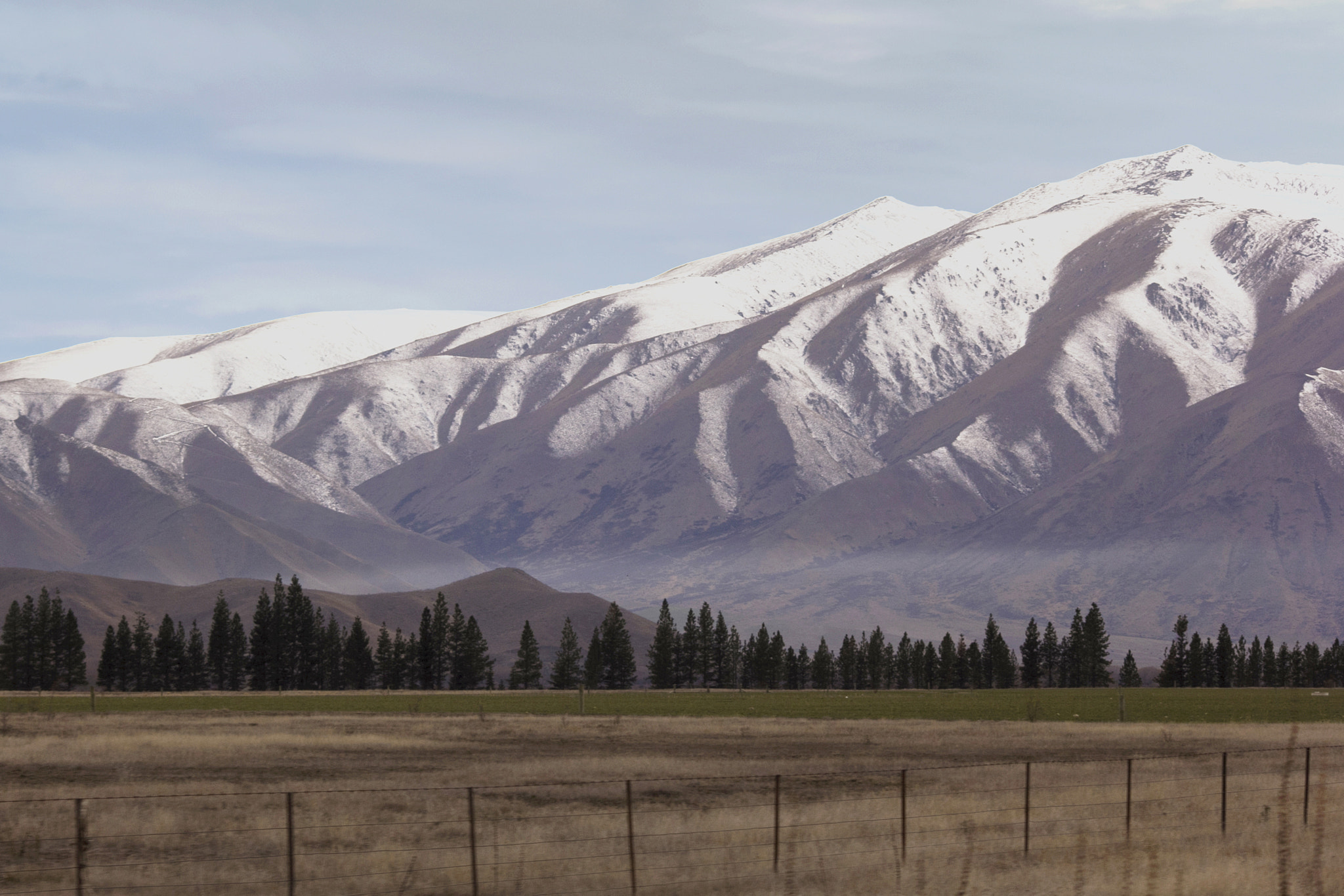 Sigma 70-300mm F4-5.6 APO DG Macro sample photo. ... photography