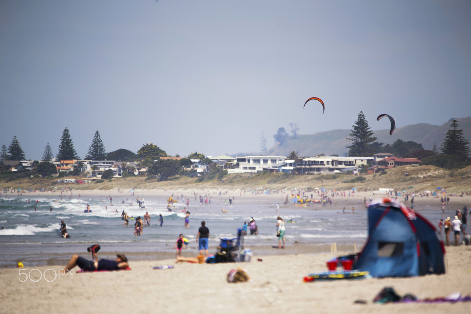 Sigma 150-600mm F5-6.3 DG OS HSM | C sample photo. Tauranga photography