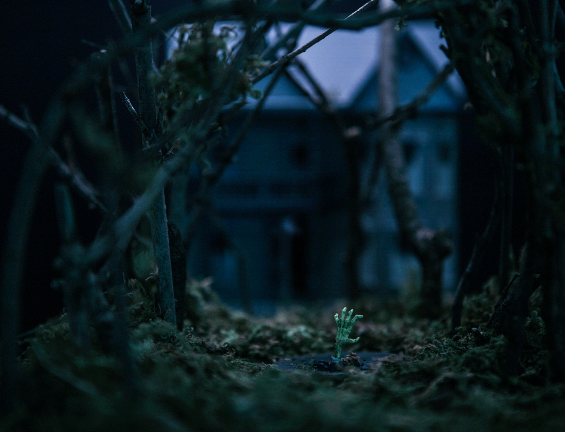 Canon EF 24-70mm F2.8L USM sample photo. The house in the woods photography