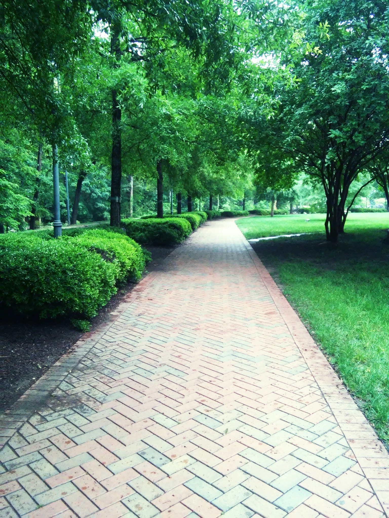 LG G Vista sample photo. Walk photography