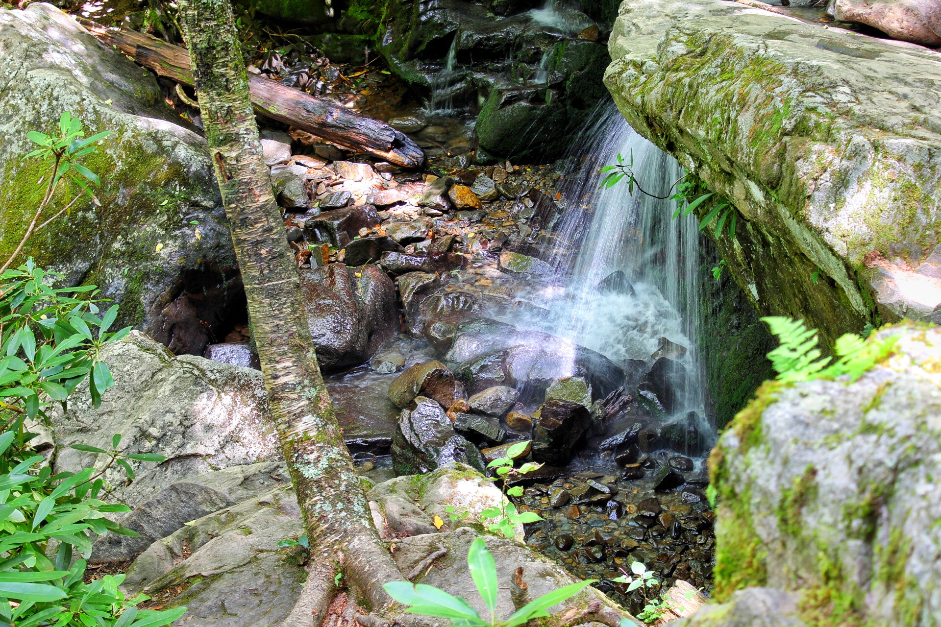 Canon EF-S 18-55mm F3.5-5.6 IS II sample photo. Grotto falls photography