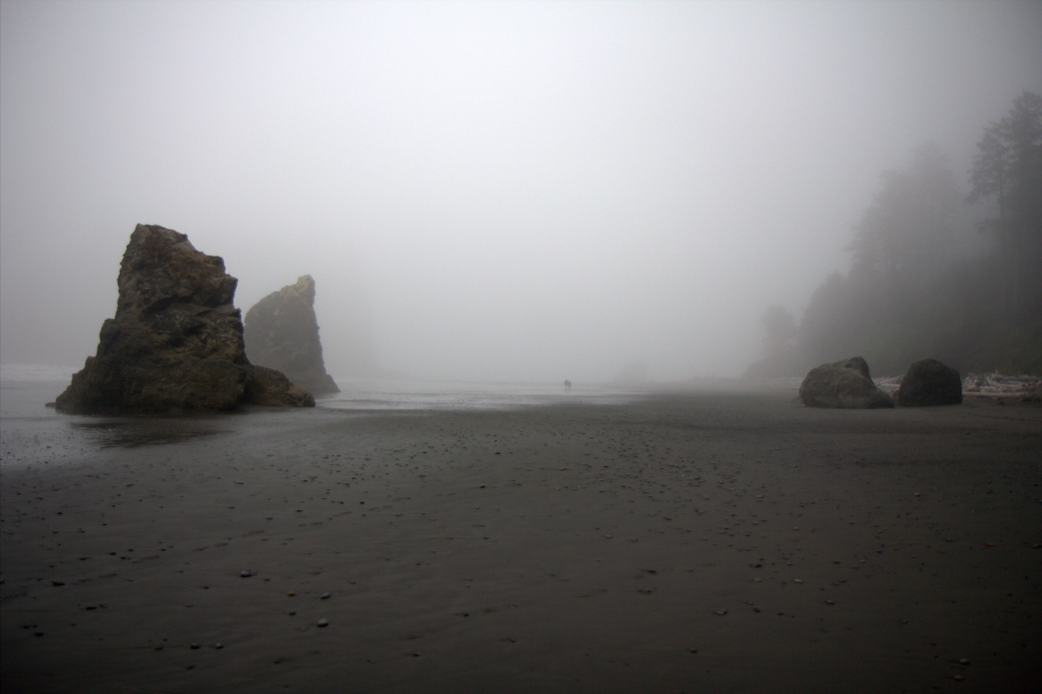 Canon EOS 550D (EOS Rebel T2i / EOS Kiss X4) sample photo. Ruby beach photography