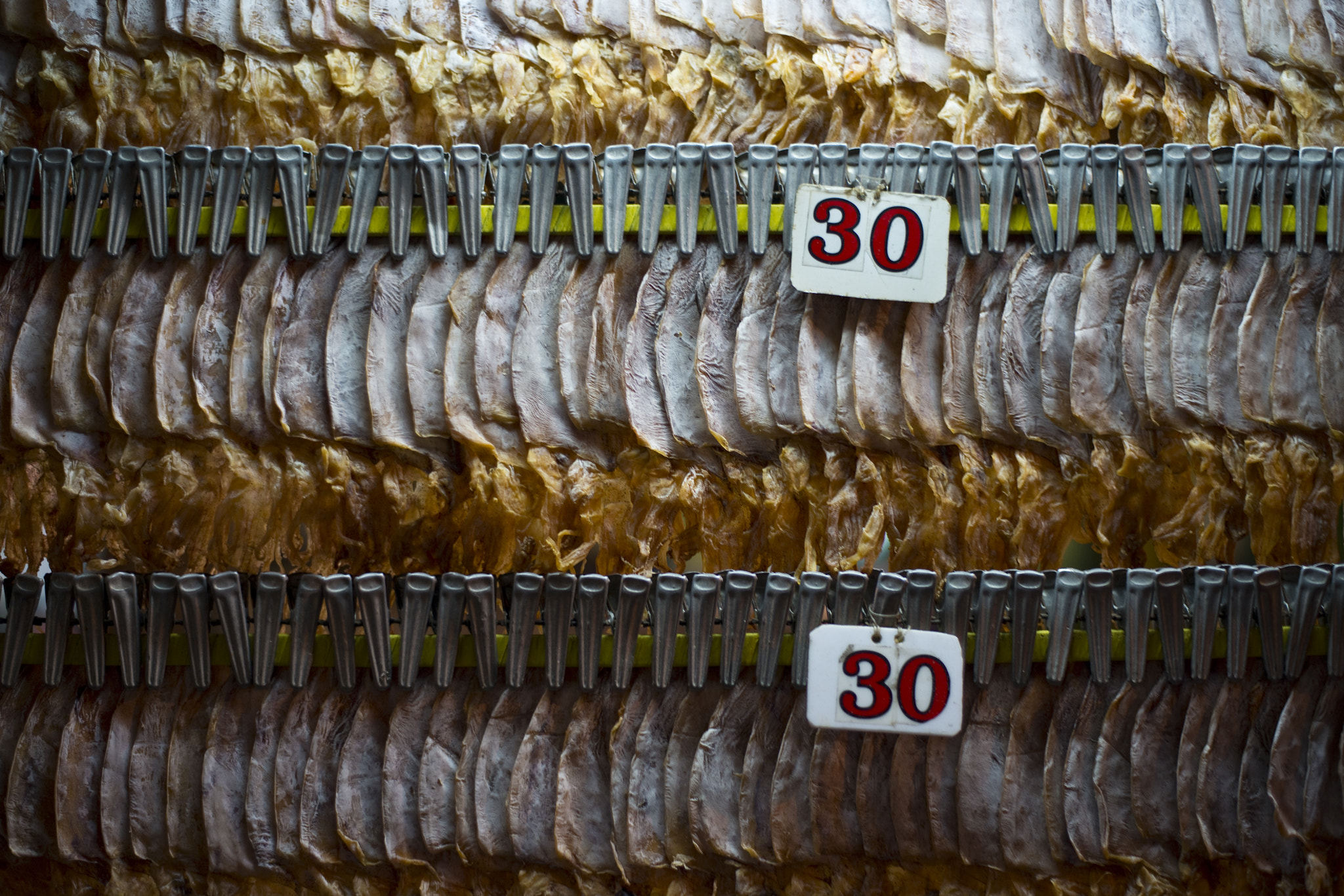 Nikon D800 sample photo. Beautiful dried squids in bangkok photography