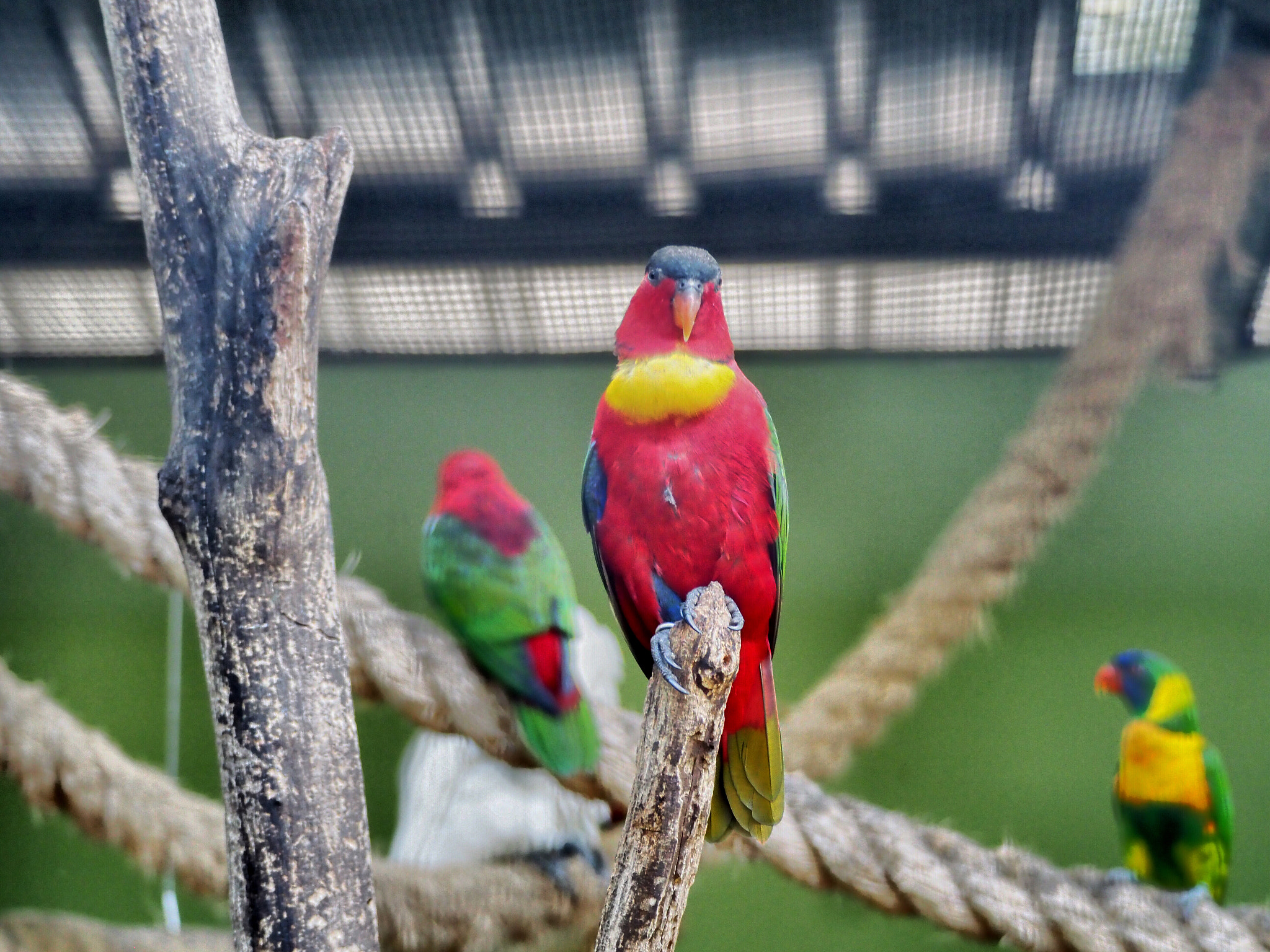 Olympus PEN-F sample photo