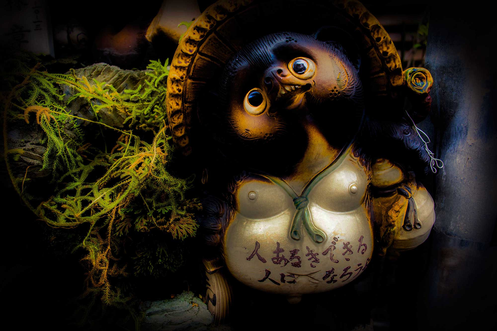 Canon EF 24mm F2.8 sample photo. Img photography