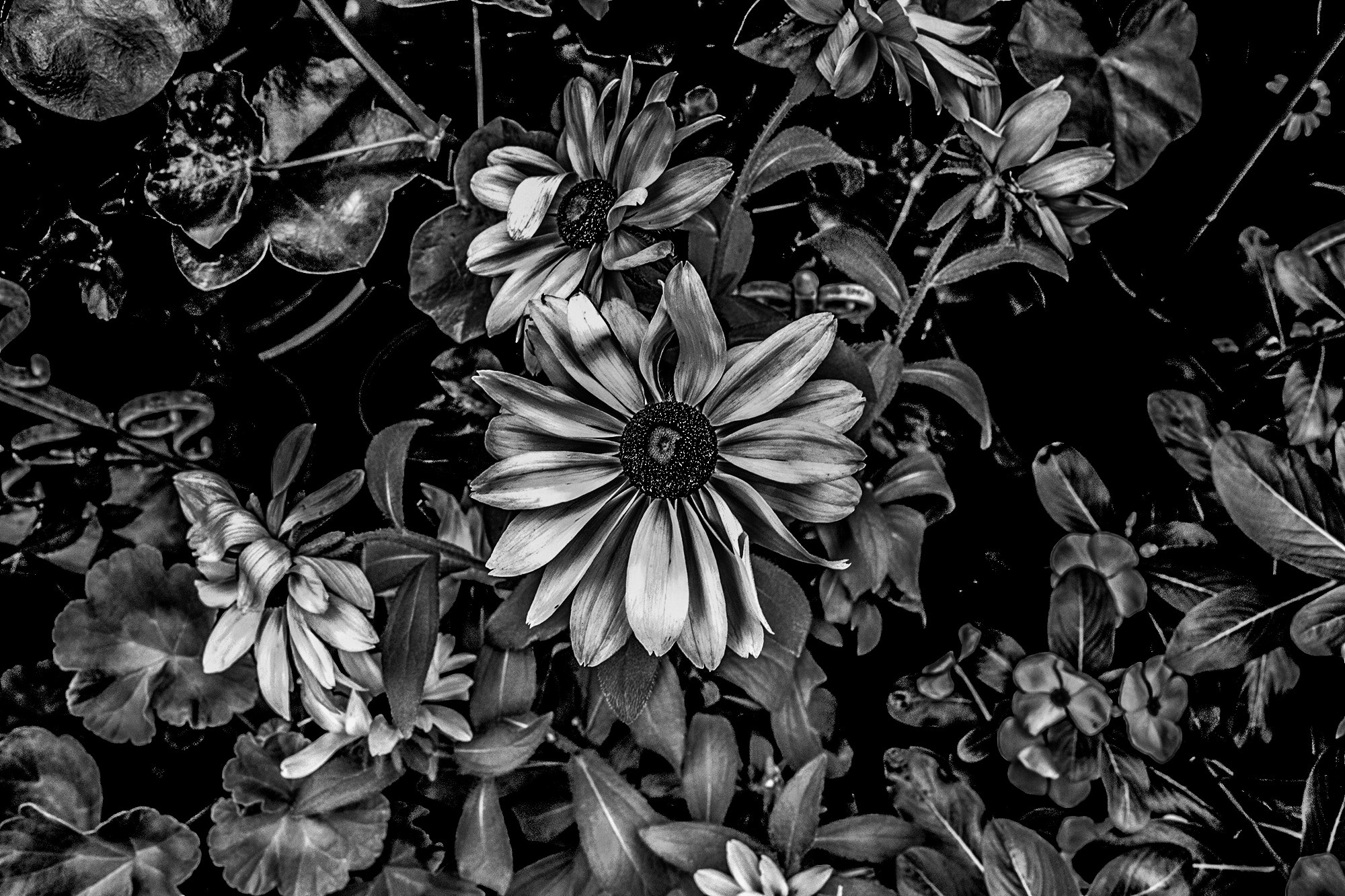 Canon EF 24mm F2.8 sample photo. Img photography