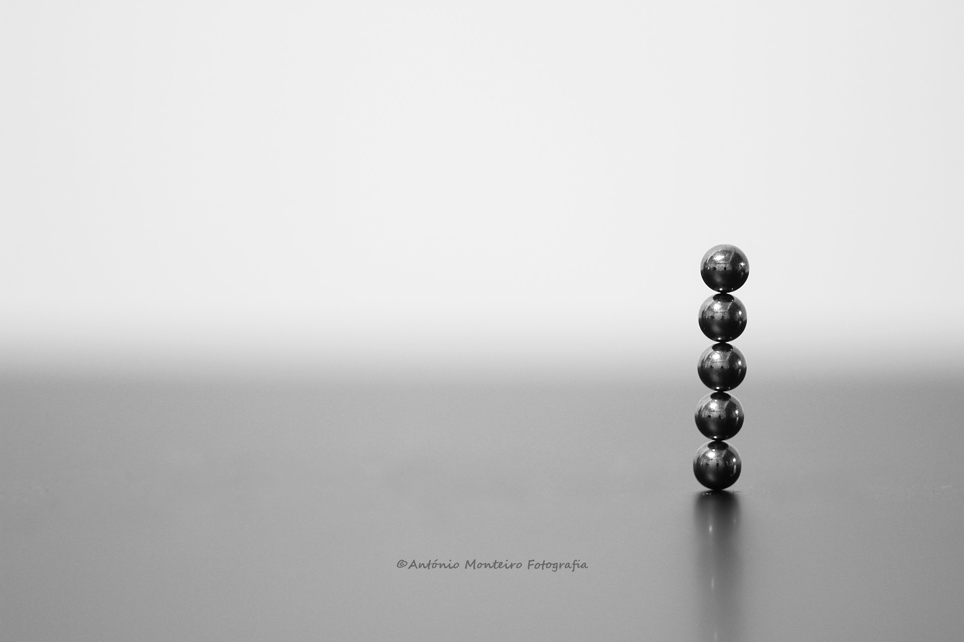 Sigma APO Macro 150mm f/2.8 EX DG HSM sample photo. Balance photography