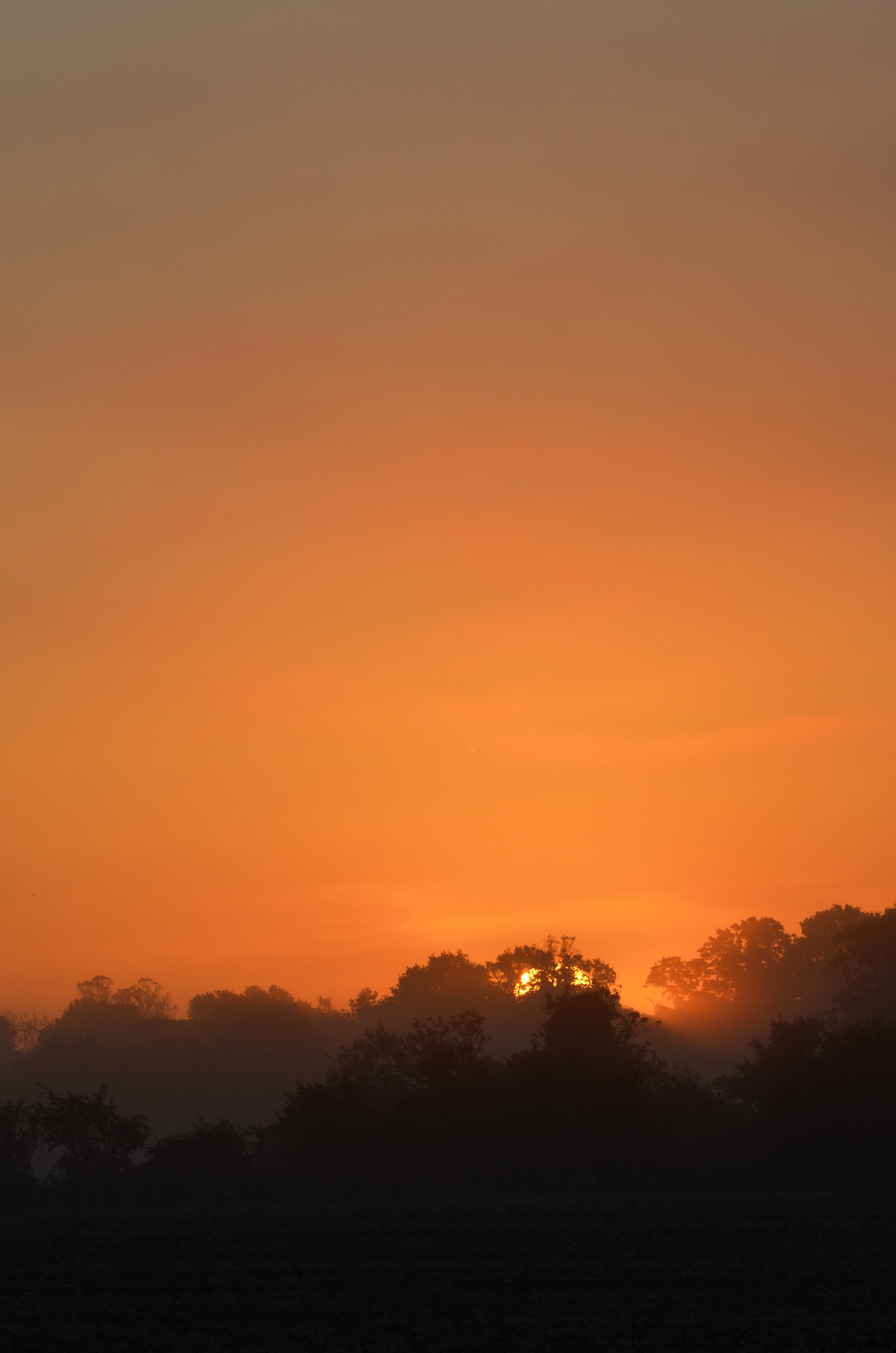 Sigma 150-500mm F5-6.3 DG OS HSM sample photo. Sunrise photography