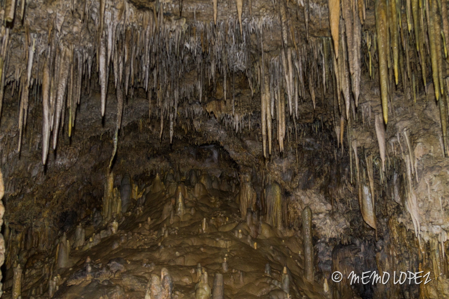 Canon EOS 1100D (EOS Rebel T3 / EOS Kiss X50) sample photo. Grutas del rey marcos photography