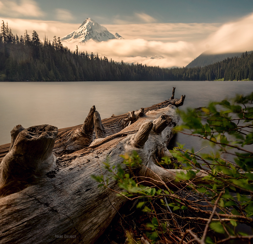 Sony a7R + Canon EF 16-35mm F2.8L II USM sample photo. Mt hood photography