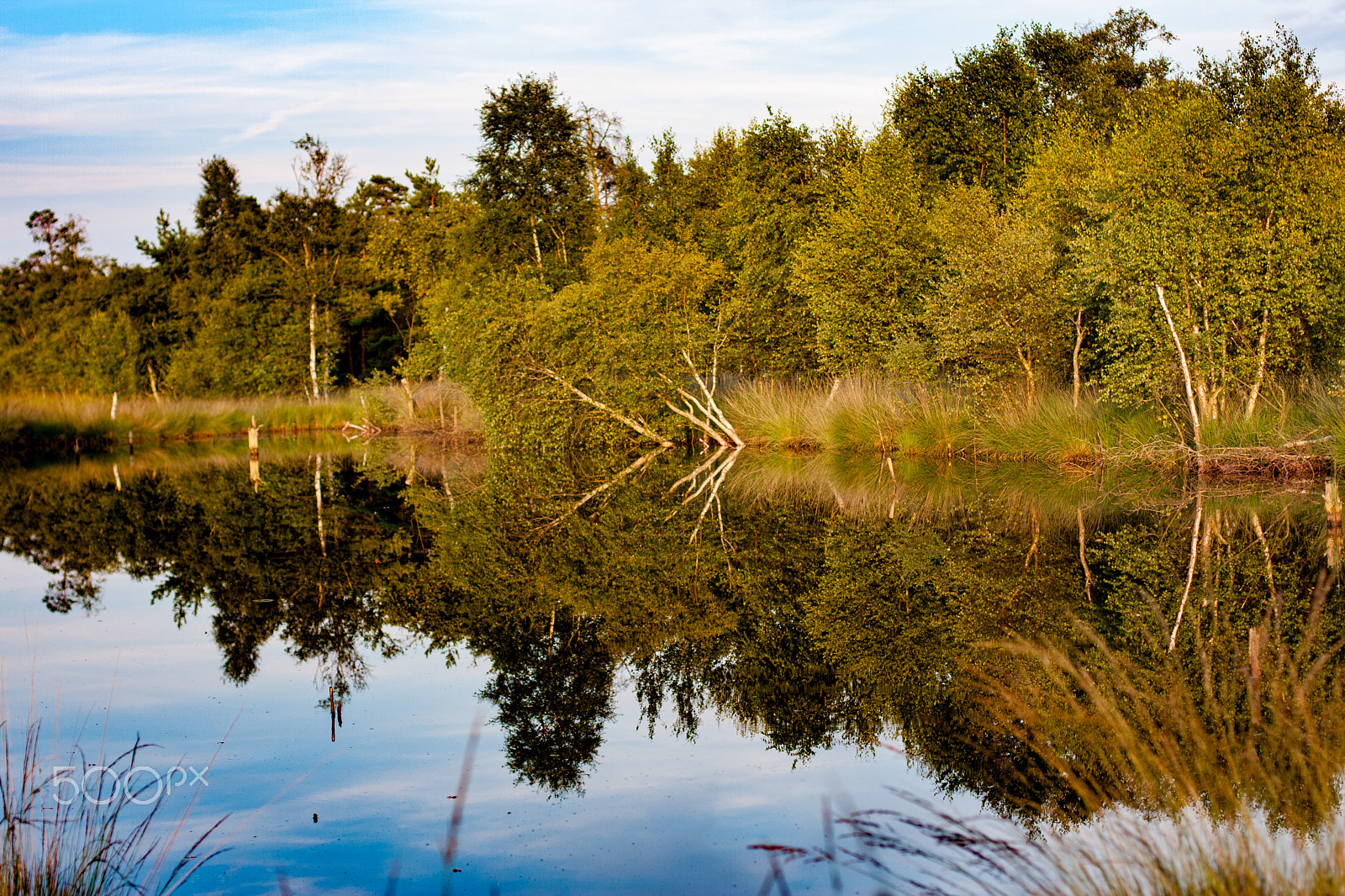 Canon EOS 40D sample photo. Schneverdingen wetlands photography