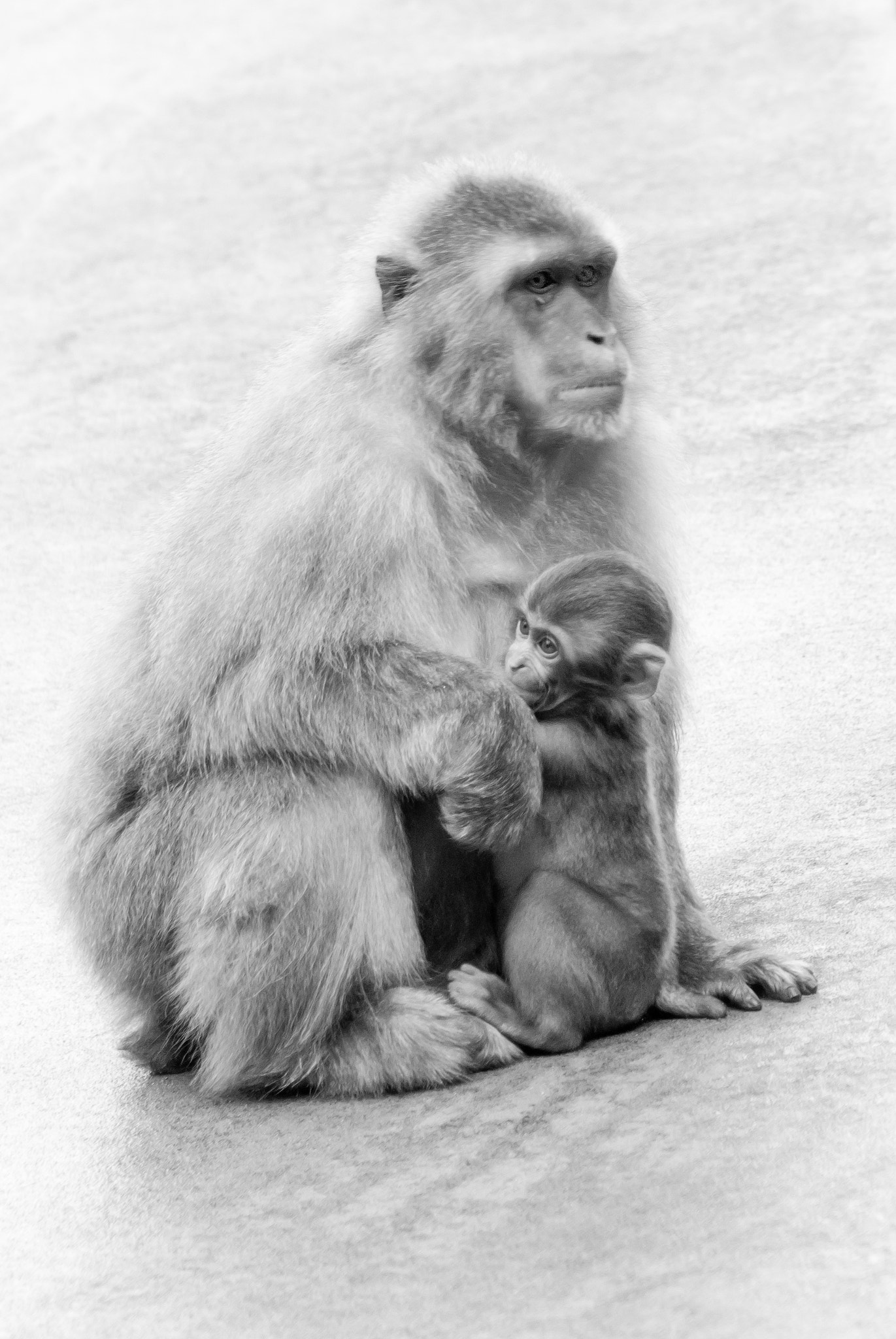 Tamron AF 70-300mm F4-5.6 Di LD Macro sample photo. We belong together - bw photography