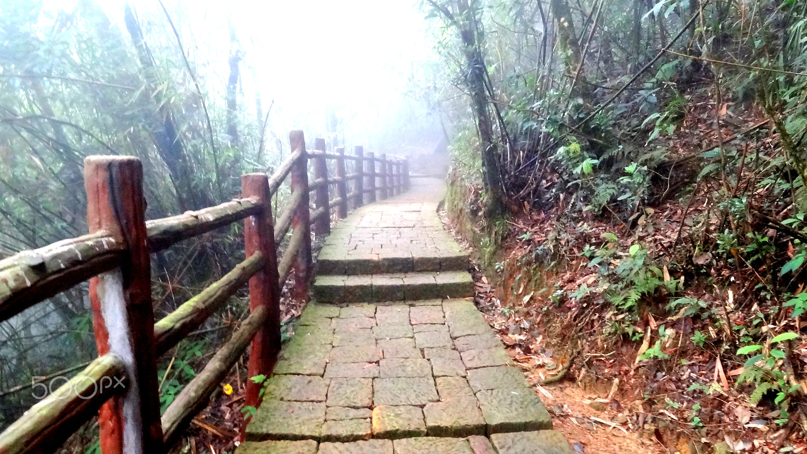 Sony Cyber-shot DSC-HX7V sample photo. Temple run track photography