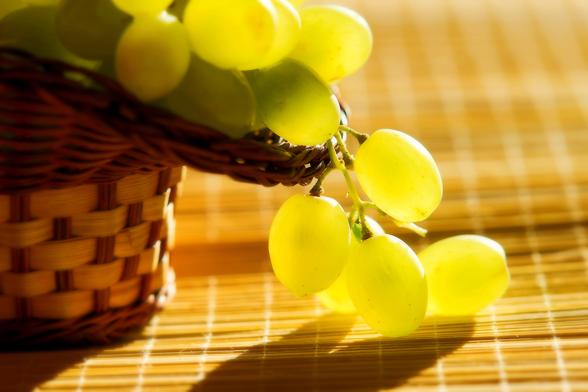 Sony Alpha DSLR-A850 sample photo. Basket with grapes sun. photography