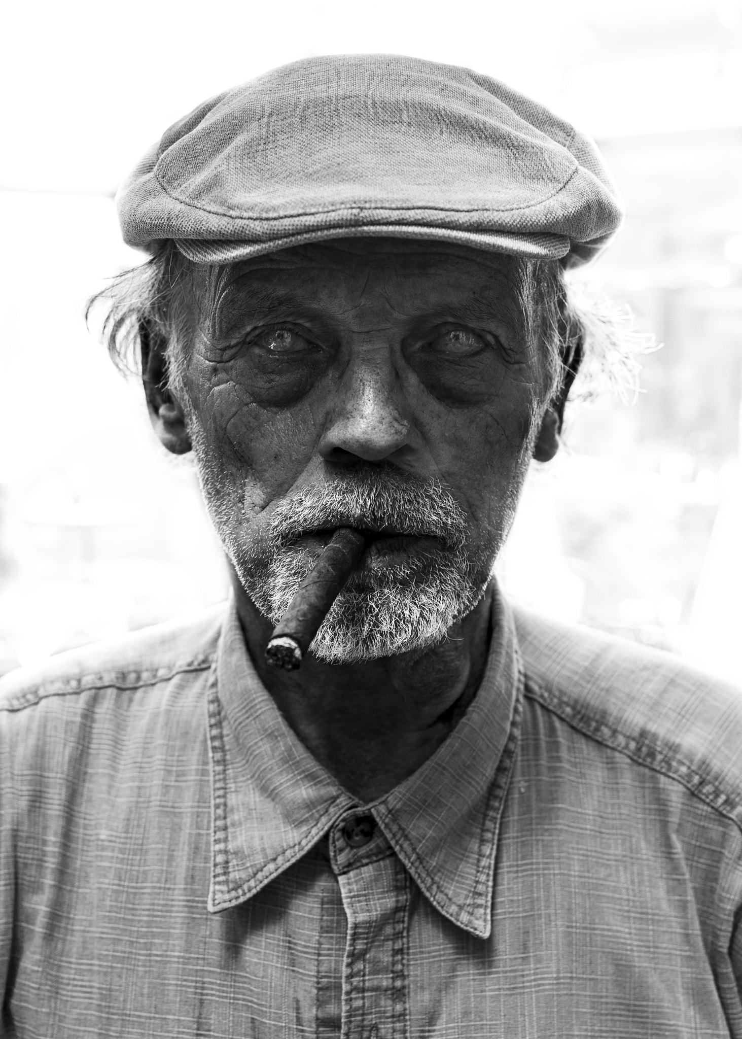 Nikon D700 + Sigma 50mm F1.4 DG HSM Art sample photo. Bernhard photography