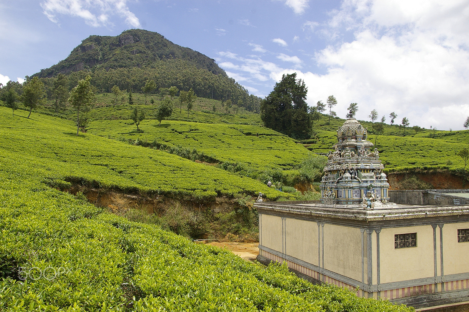 Pentax *ist DS sample photo. Hindu temple in the tea plantation in sri lanka photography
