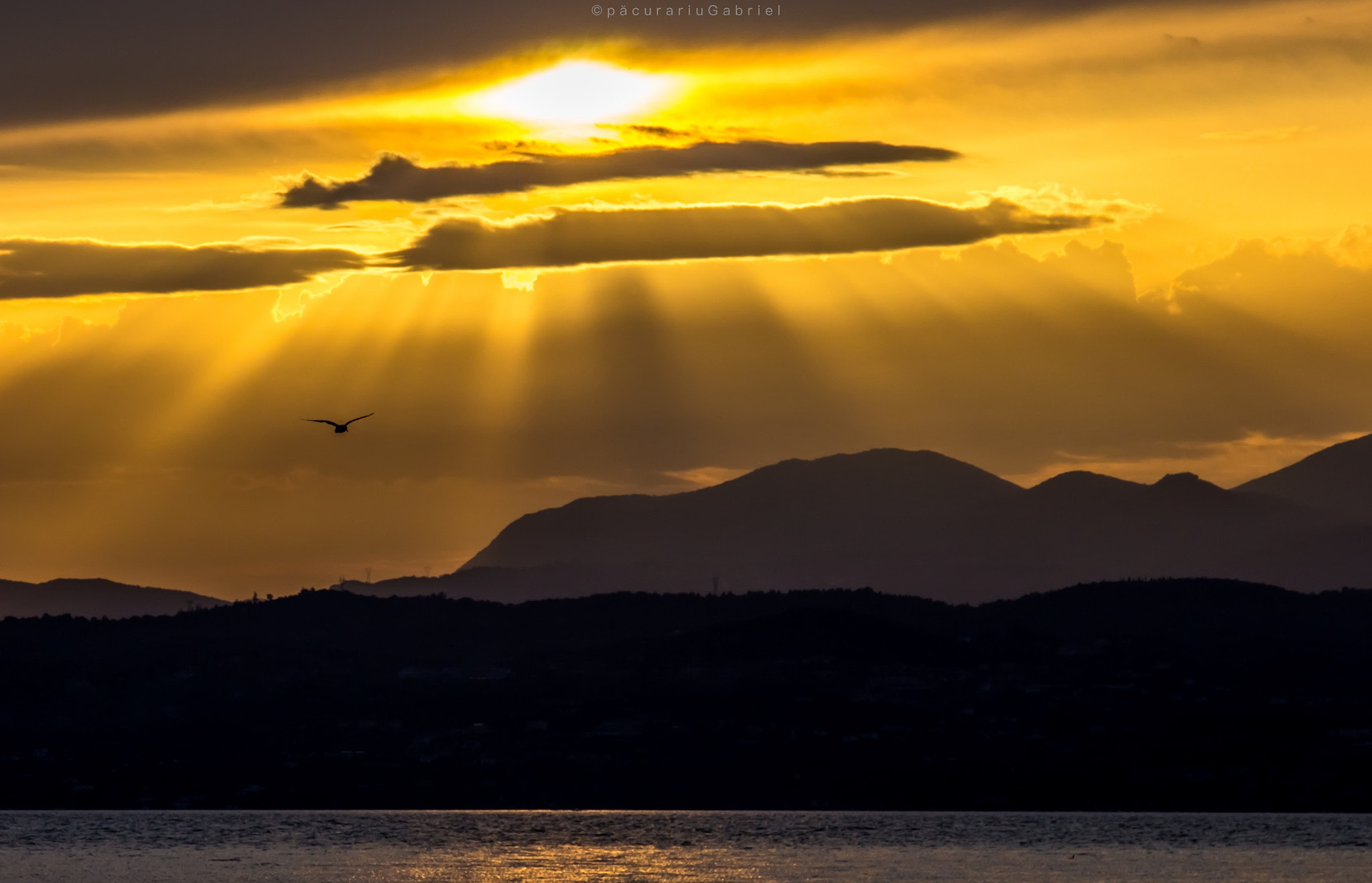 Canon EF 24-105mm F3.5-5.6 IS STM sample photo. Un rayo del sol photography