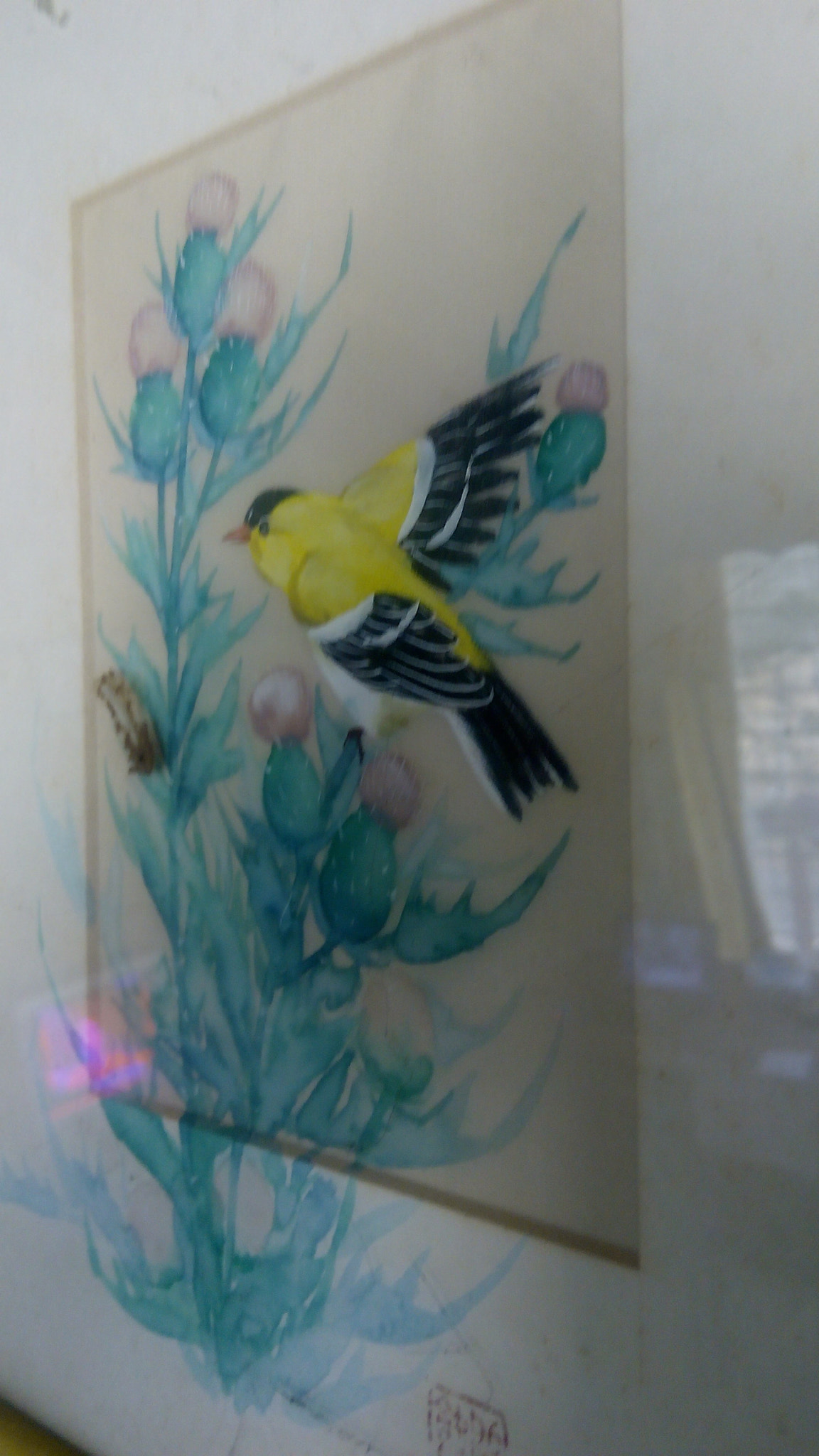 Infinix X551 sample photo