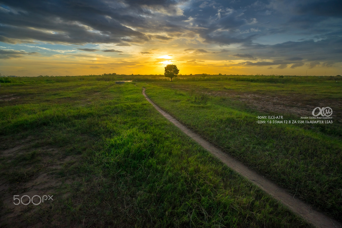 Sony Vario-Sonnar T* 16-35mm F2.8 ZA SSM II sample photo. Only one way to go! photography