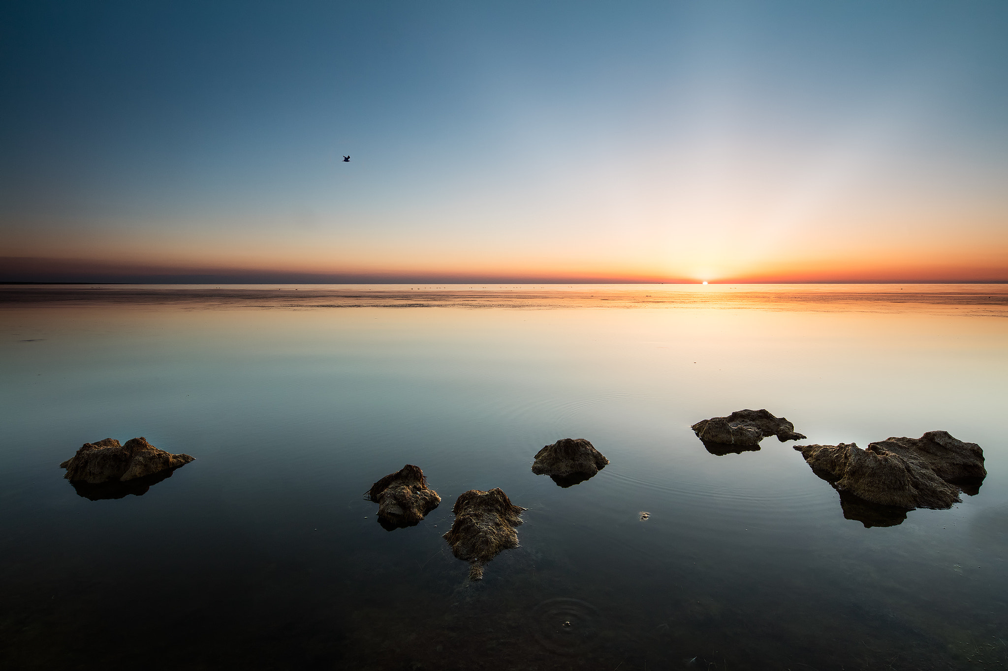 Canon TS-E 17mm F4L Tilt-Shift sample photo. ...sunrise, i am coming ... photography