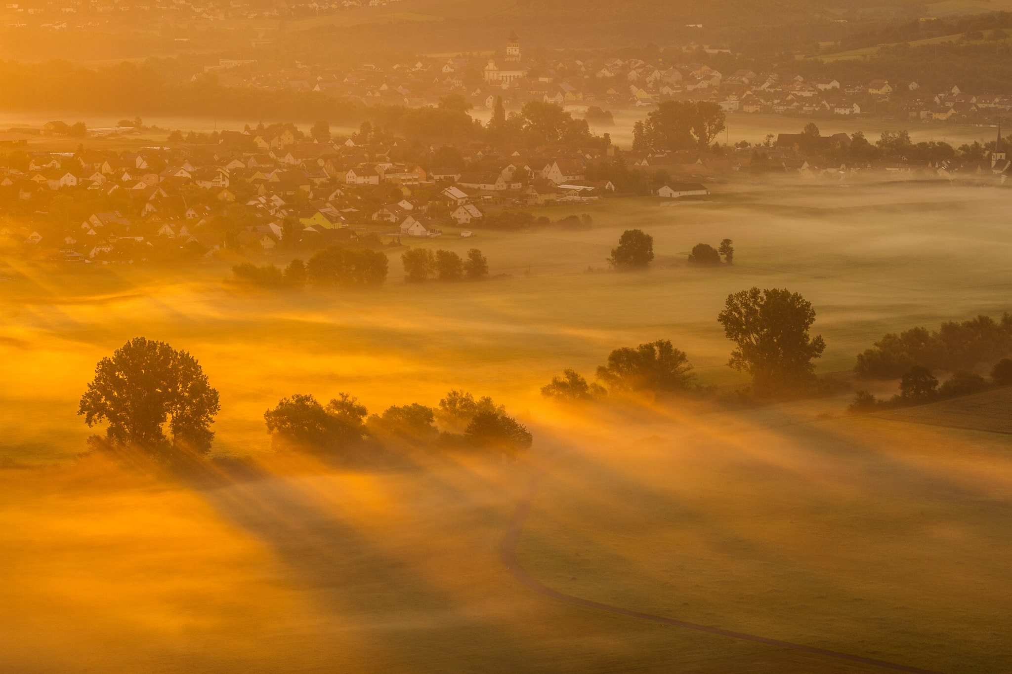 Tamron SP 35mm F1.8 Di VC USD sample photo. Golden light above fog photography