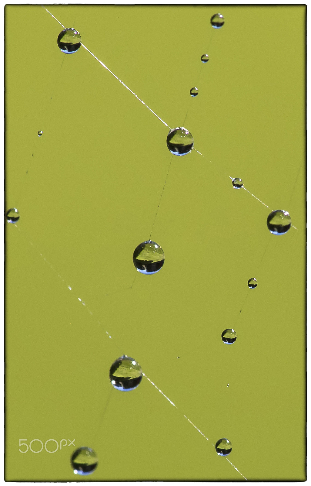 Canon EF 180mm F3.5L Macro USM sample photo. World in a drop photography