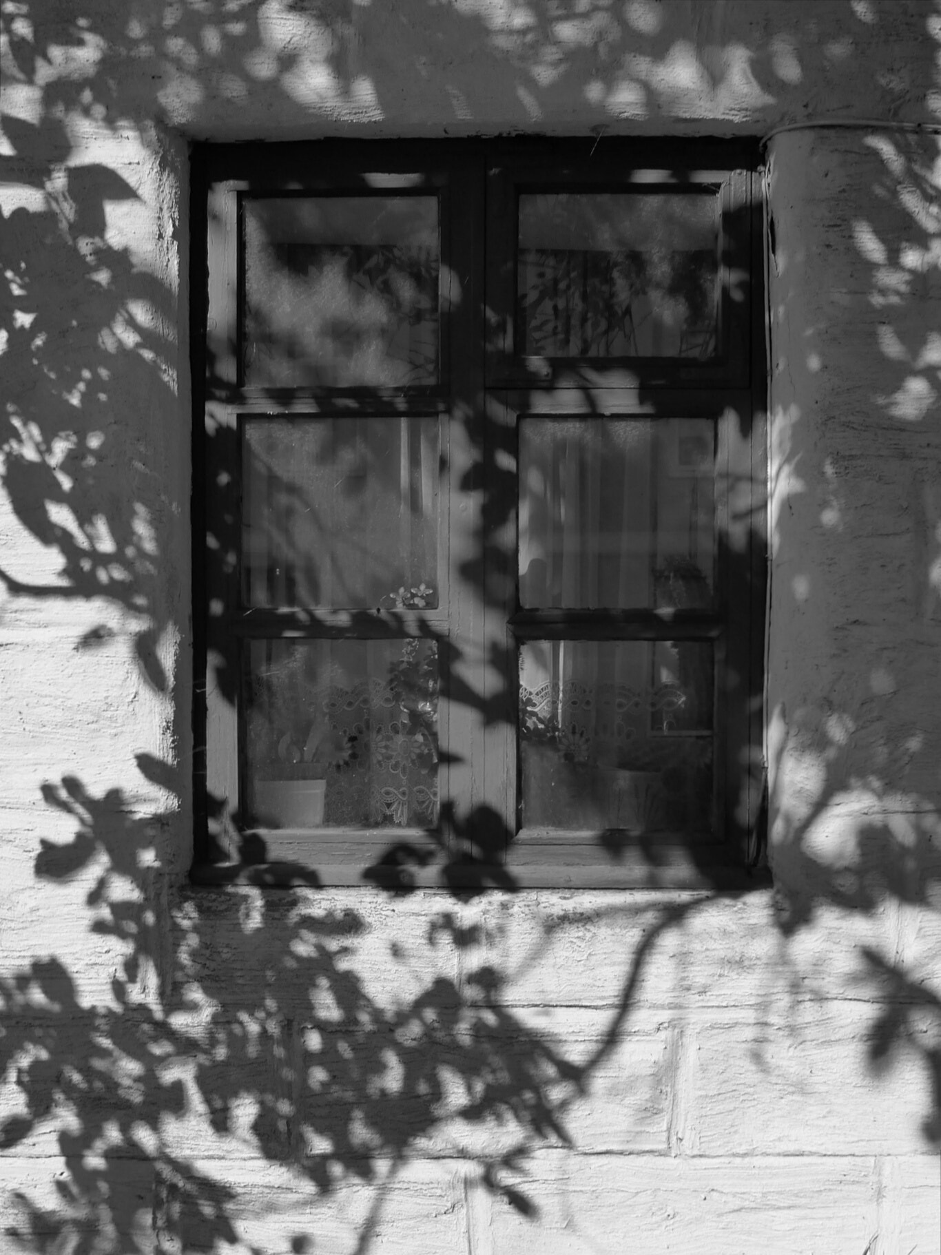 Leica C (Typ 112) sample photo. Shadows photography