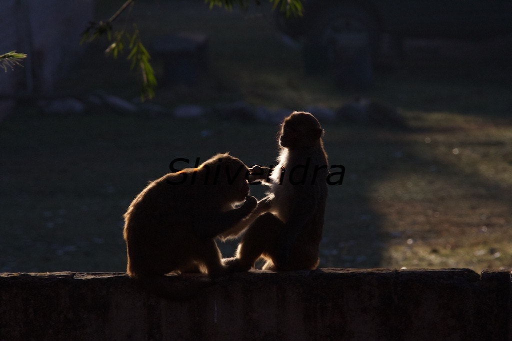 Canon EF 28-300mm F3.5-5.6L IS USM sample photo