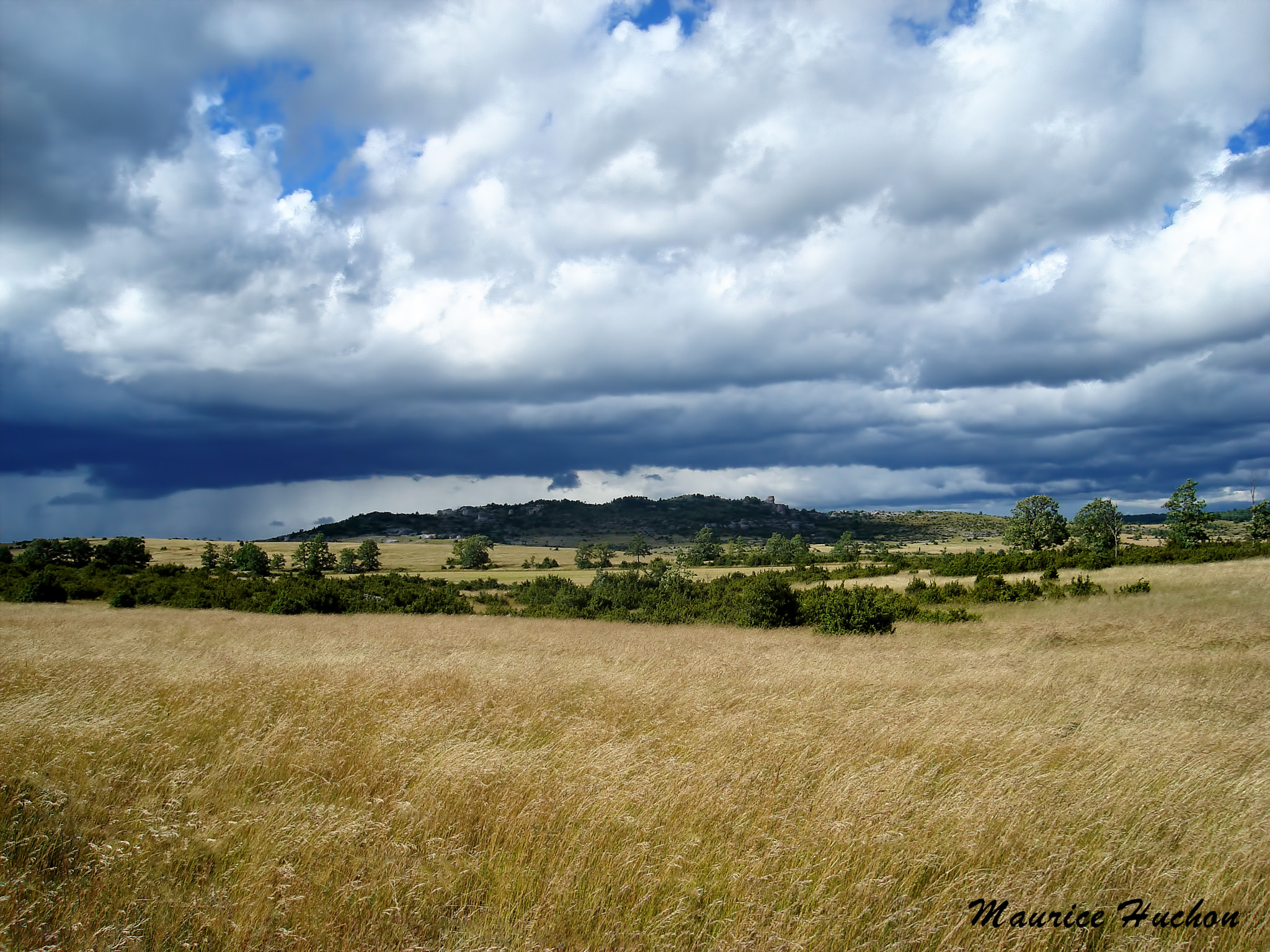 Sony DSC-S600 sample photo. Plateau du larzac (aveyron) photography