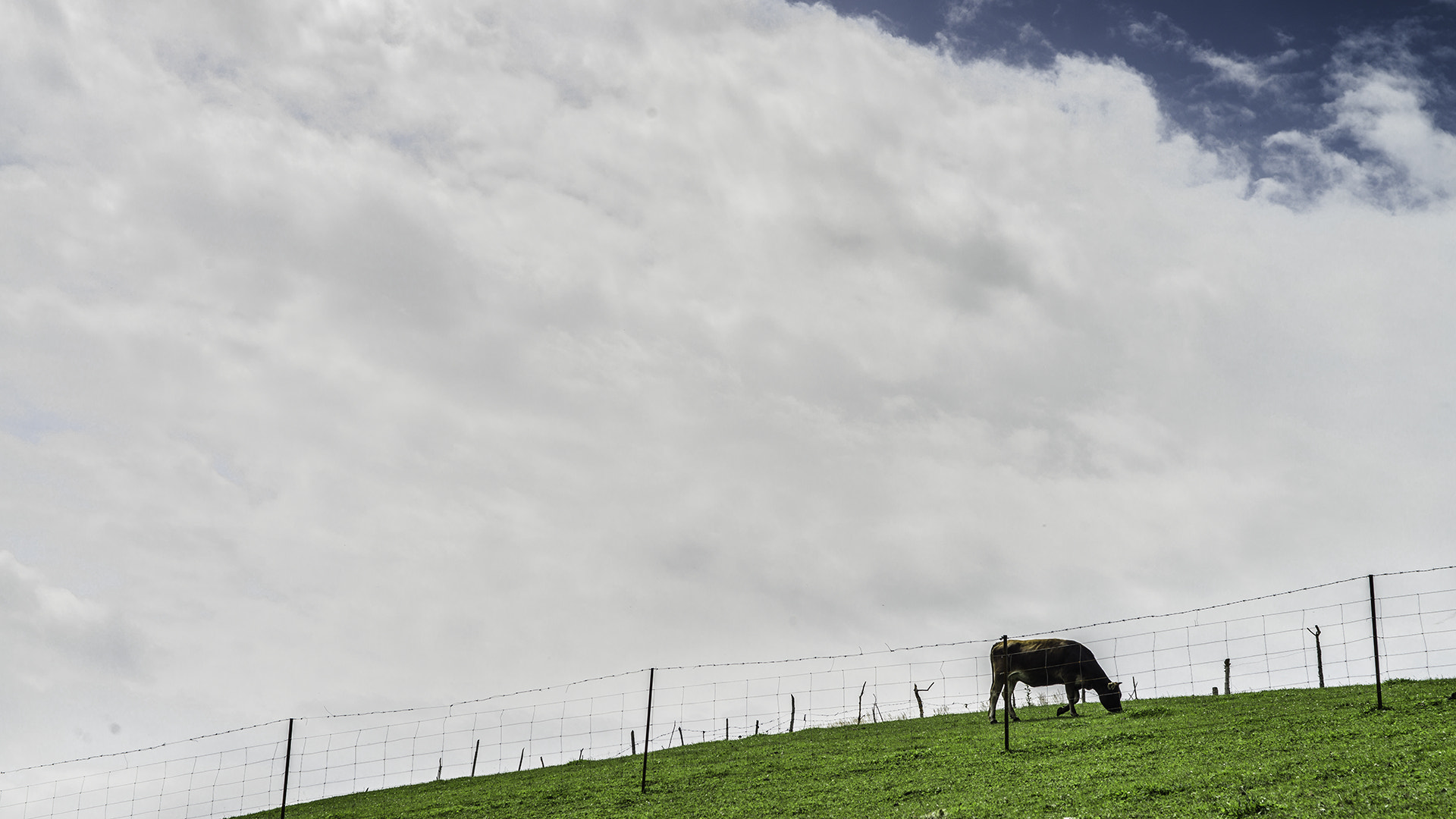 Nikon D800 + Sigma 24-70mm F2.8 EX DG Macro sample photo. Cloud photography