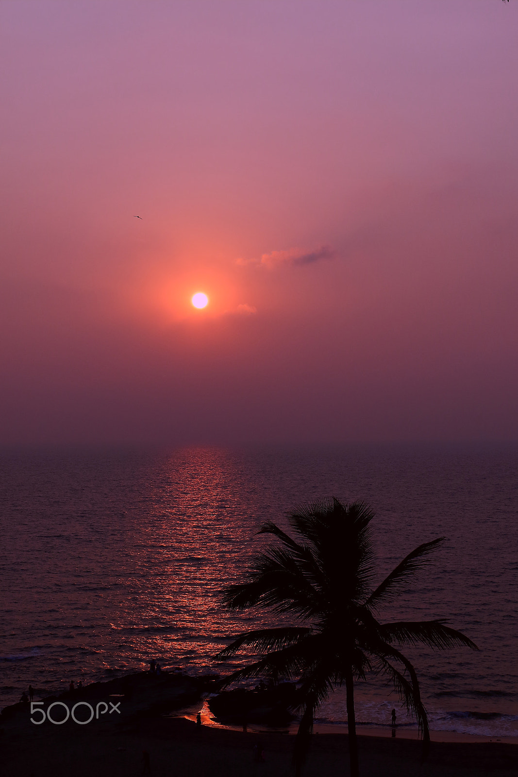 Canon EOS 7D Mark II + Canon EF-S 18-55mm F3.5-5.6 IS STM sample photo. Sunset in goa photography
