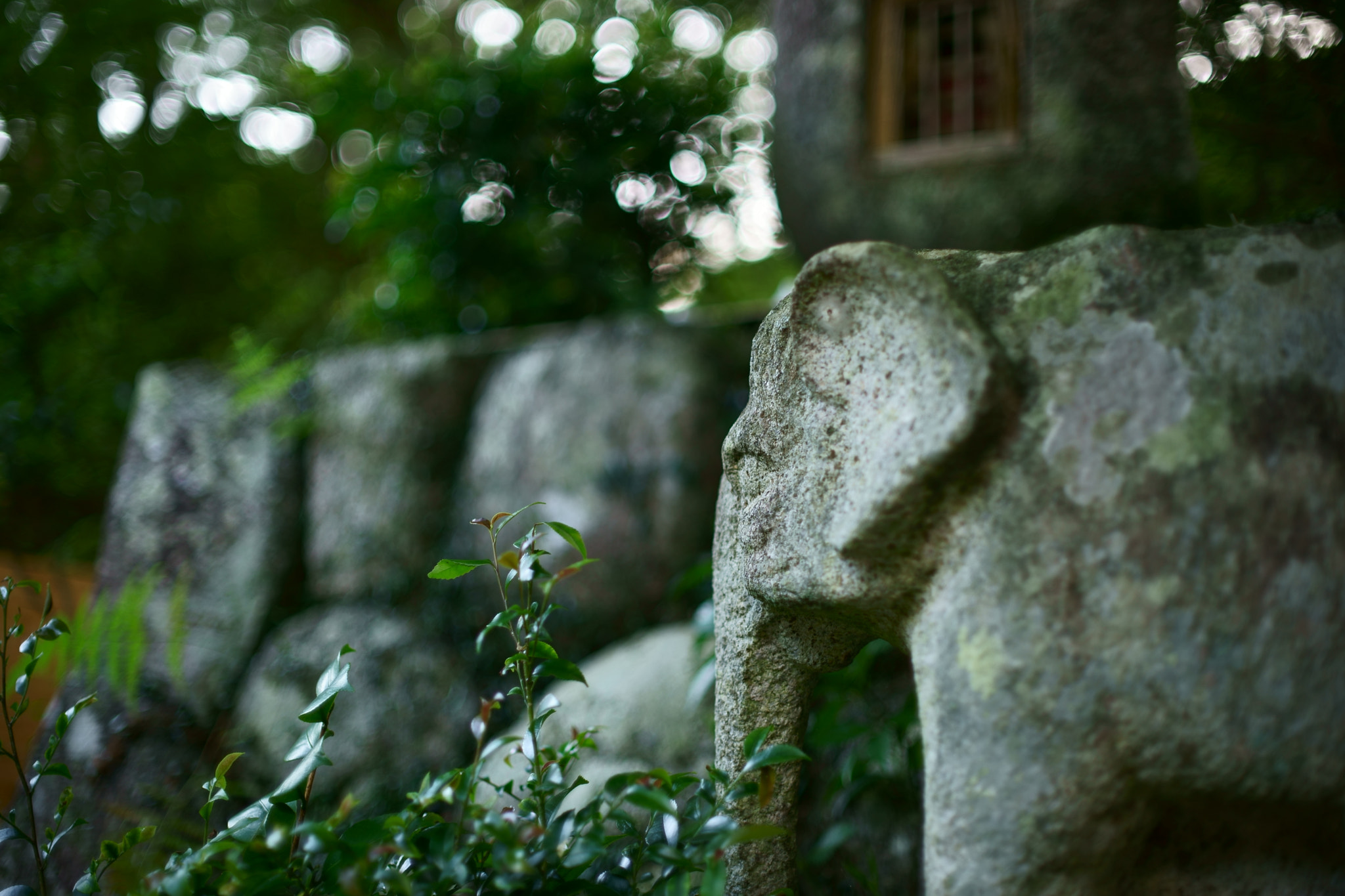 The stone elephant wait and see the future