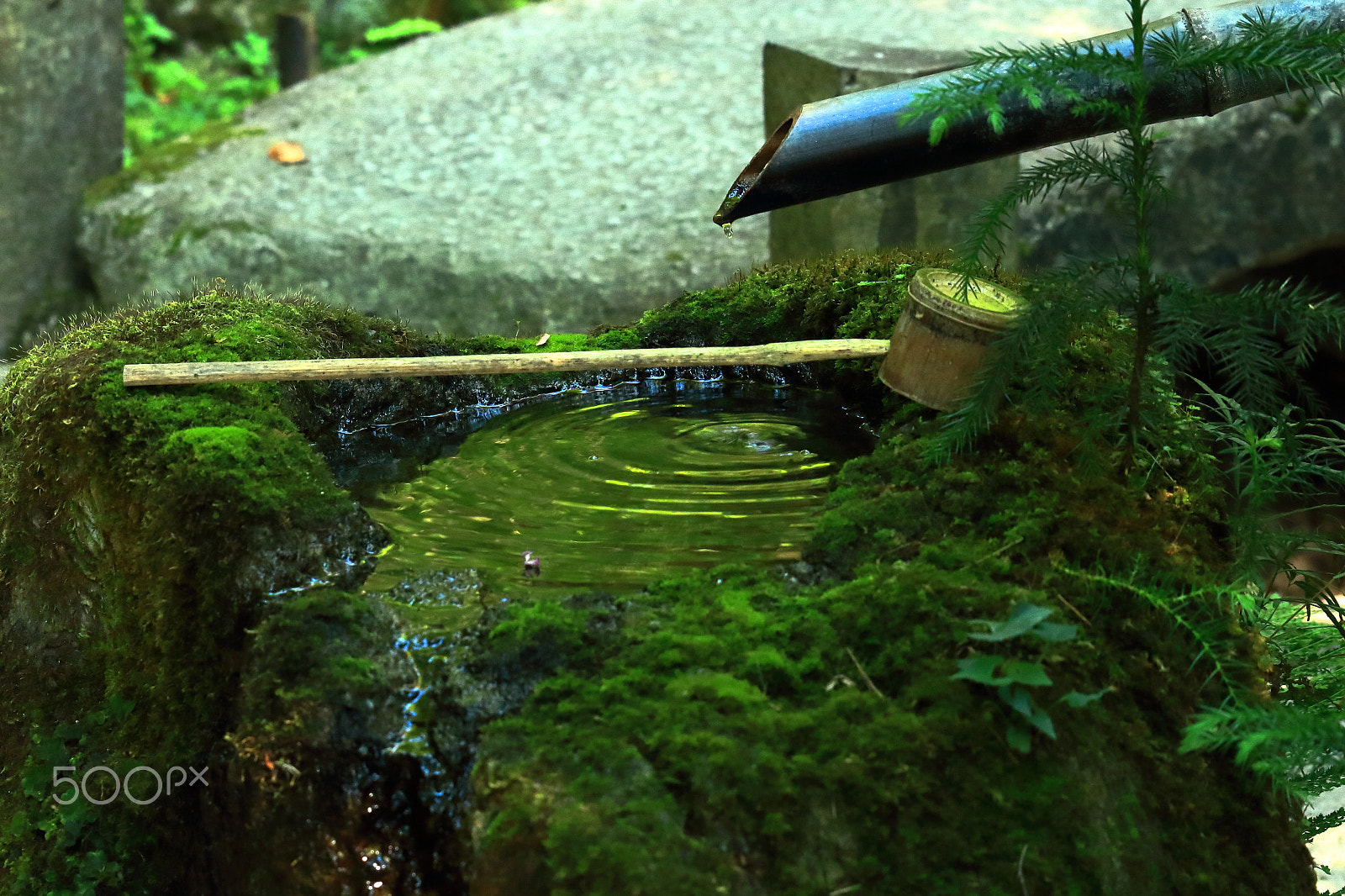 Canon EOS 100D (EOS Rebel SL1 / EOS Kiss X7) sample photo. Ripple photography