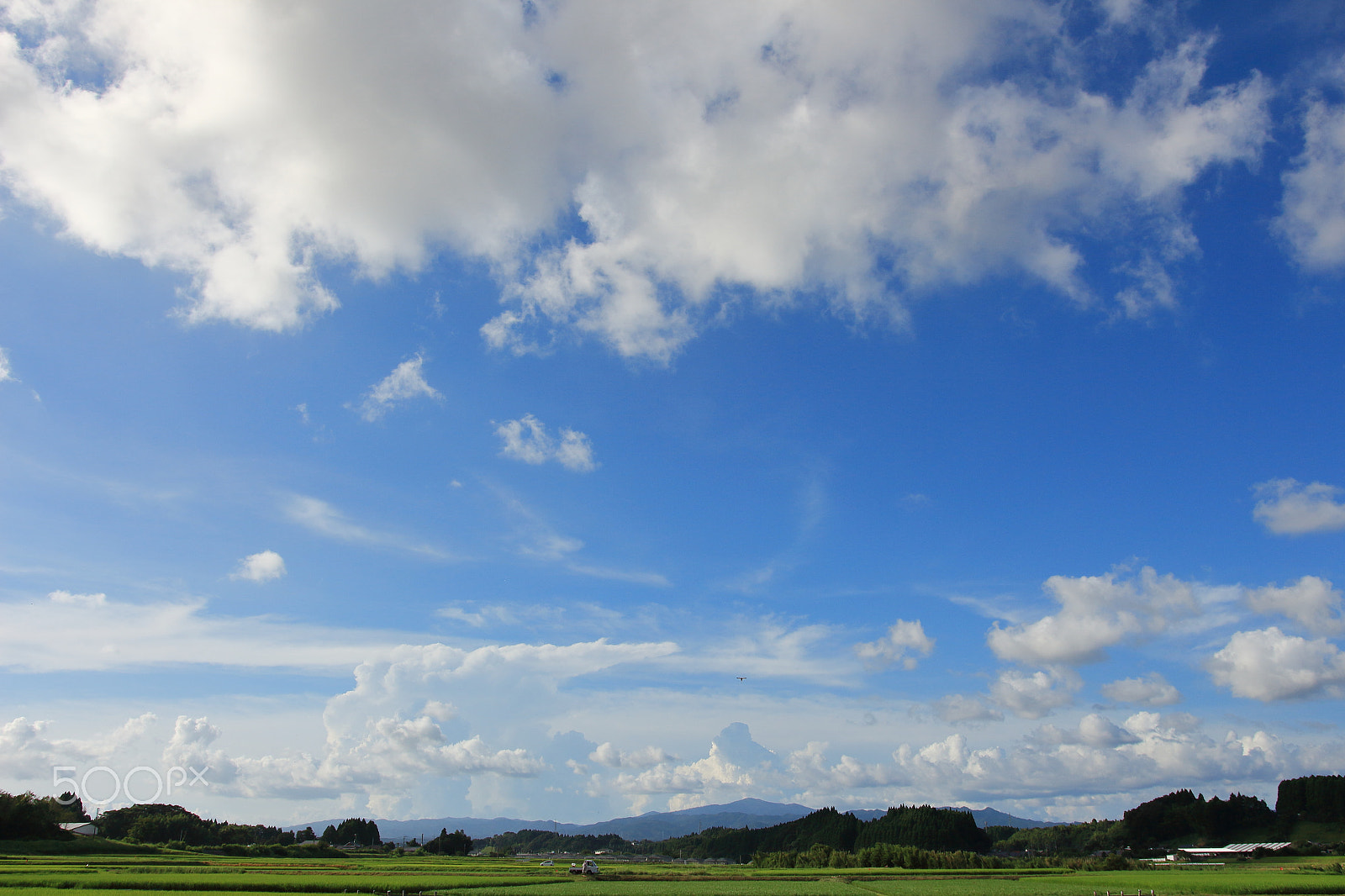 Canon EOS 700D (EOS Rebel T5i / EOS Kiss X7i) + Sigma 18-35mm f/1.8 DC HSM sample photo. Summer sky, afternoon photography