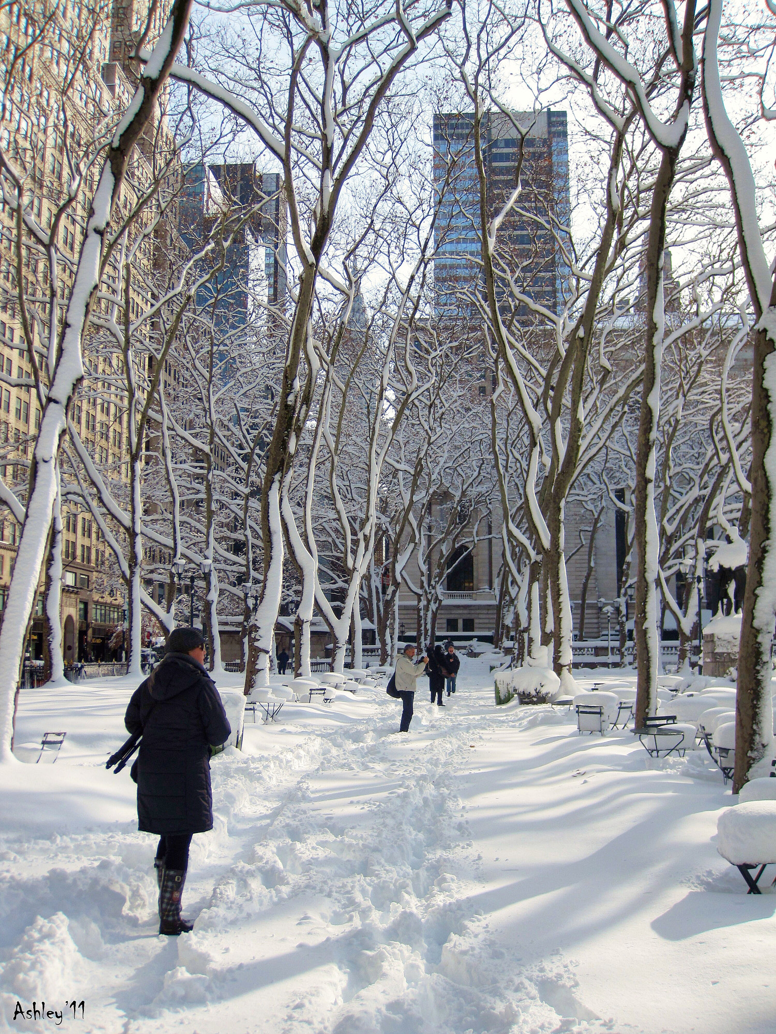 Canon PowerShot SD970 IS (Digital IXUS 990 IS / IXY Digital 830 IS) sample photo. Snow storm in nyc, bryant park photography