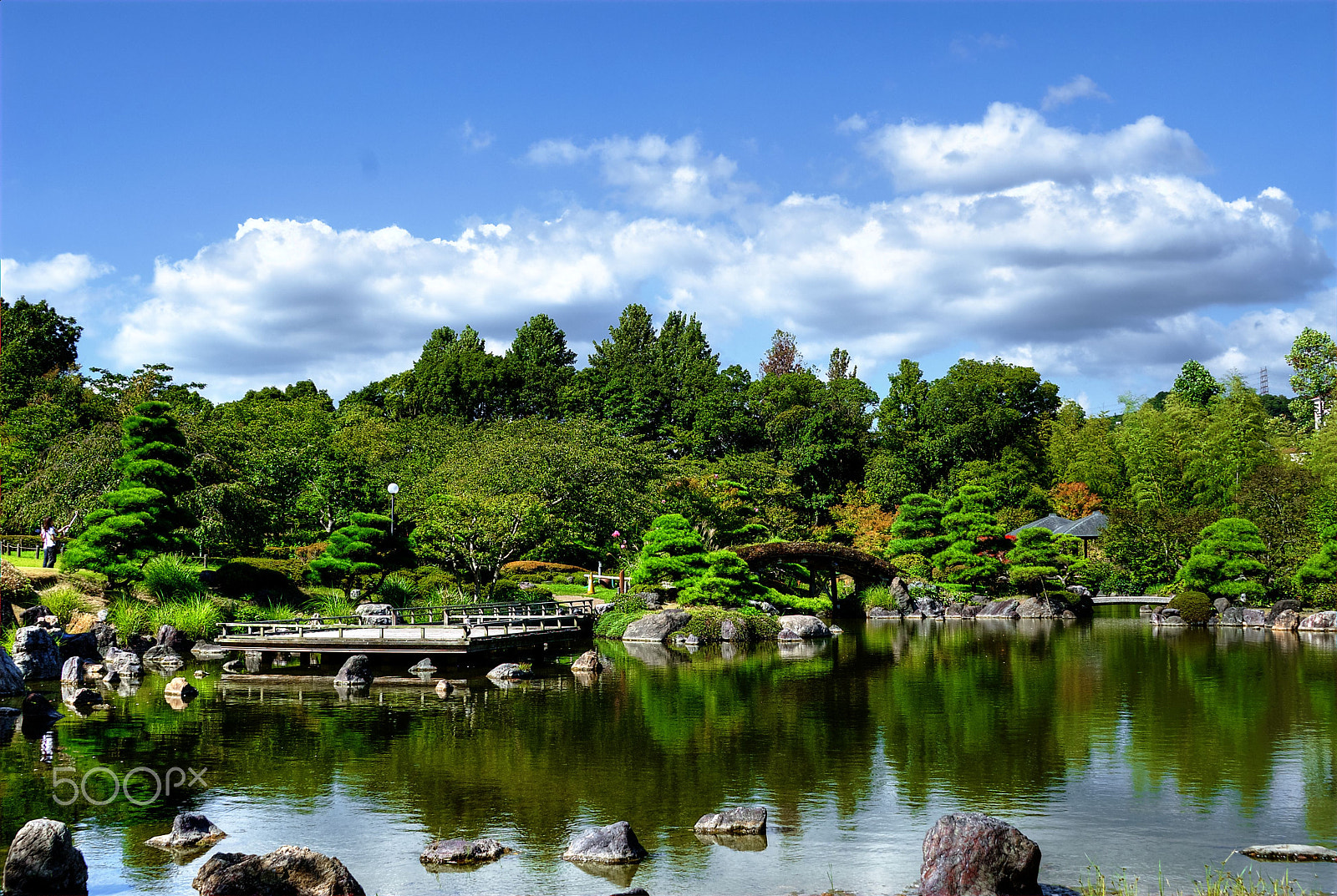 Nikon D200 sample photo. Those serving japanese garden photography