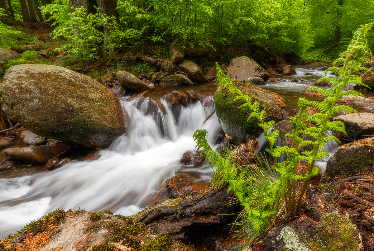 Canon EOS 5D + Canon EF 16-35mm F4L IS USM sample photo. . photography