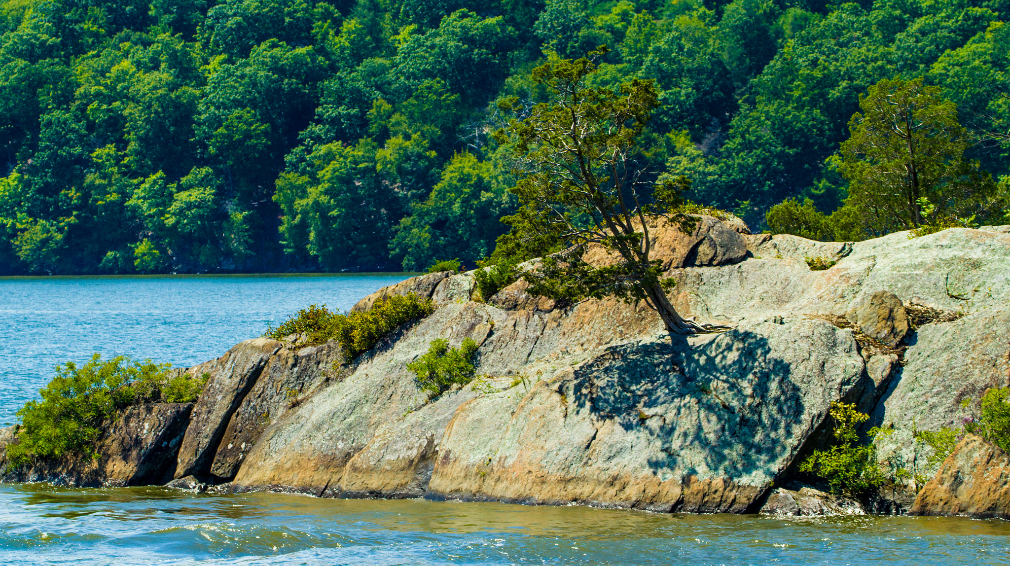 Canon EF 70-300mm F4-5.6L IS USM sample photo. Alone with a shadow photography