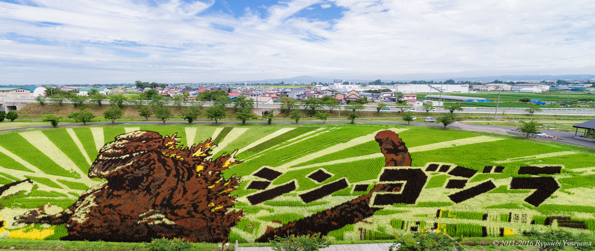 Canon EOS-1D X sample photo. Rice paddy art photography