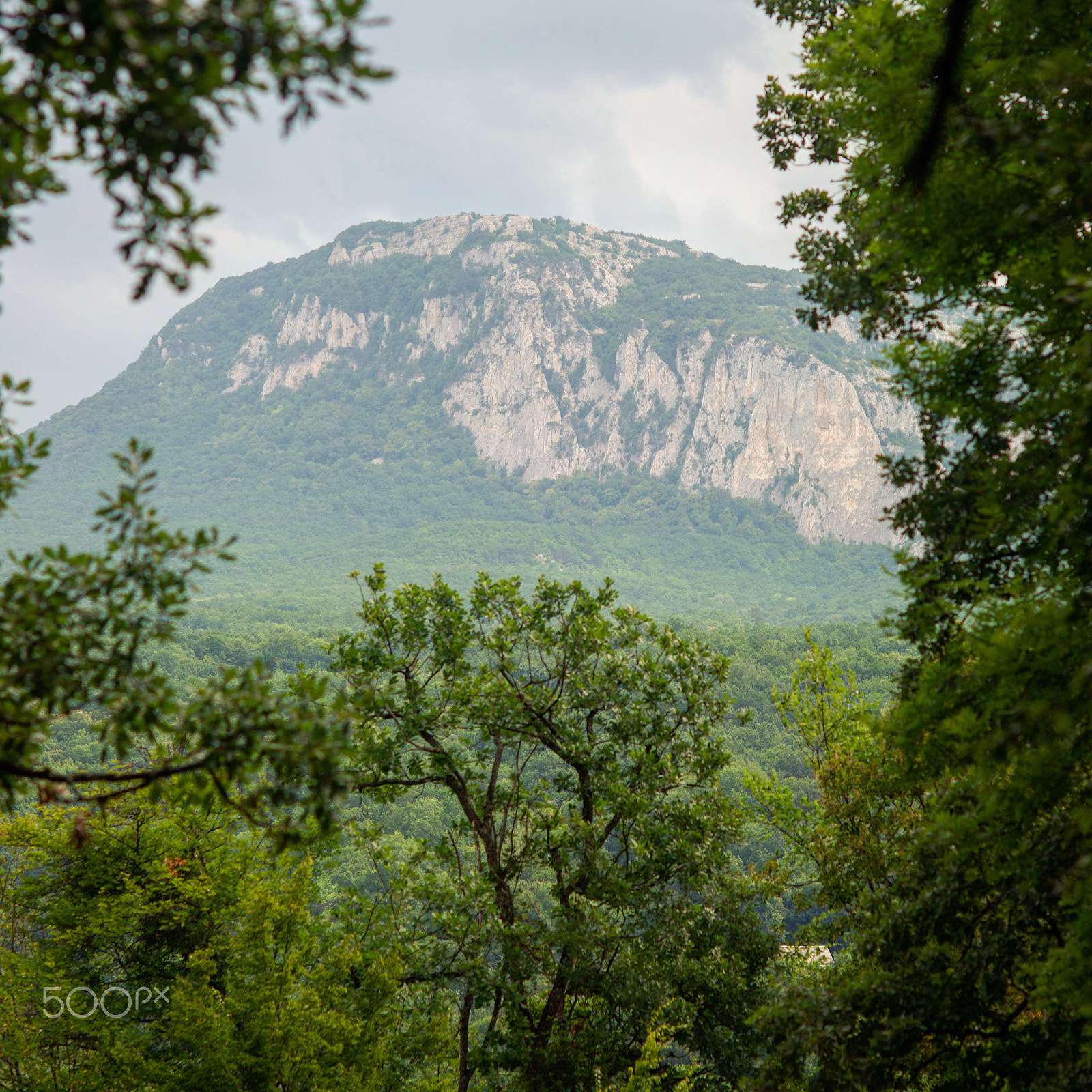 Sony Alpha DSLR-A850 sample photo. Crimea. ai-petri photography