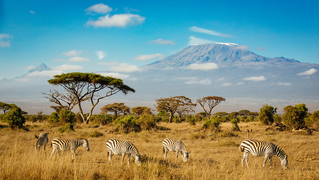 In the shadow of kilimanjaro by James Mills on 500px.com
