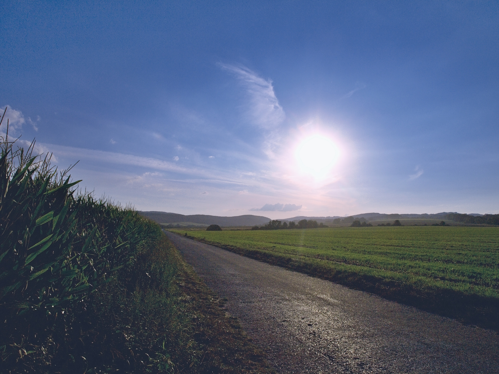 14.00 - 42.00 mm f/3.5 - 5.6 sample photo. Angel... photography