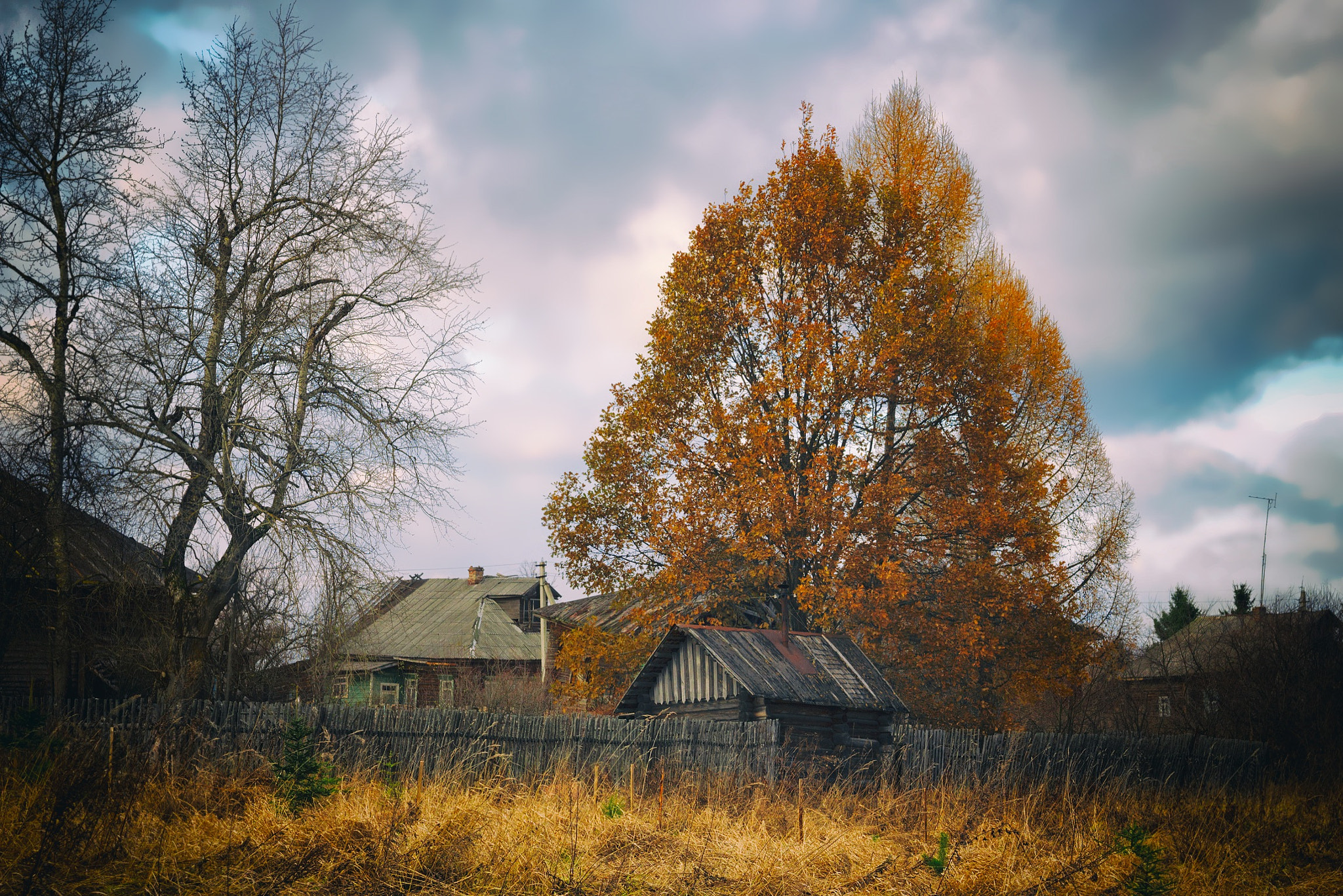 Canon EF 24-85mm F3.5-4.5 USM sample photo. Осень в деревне под Ярославлем photography