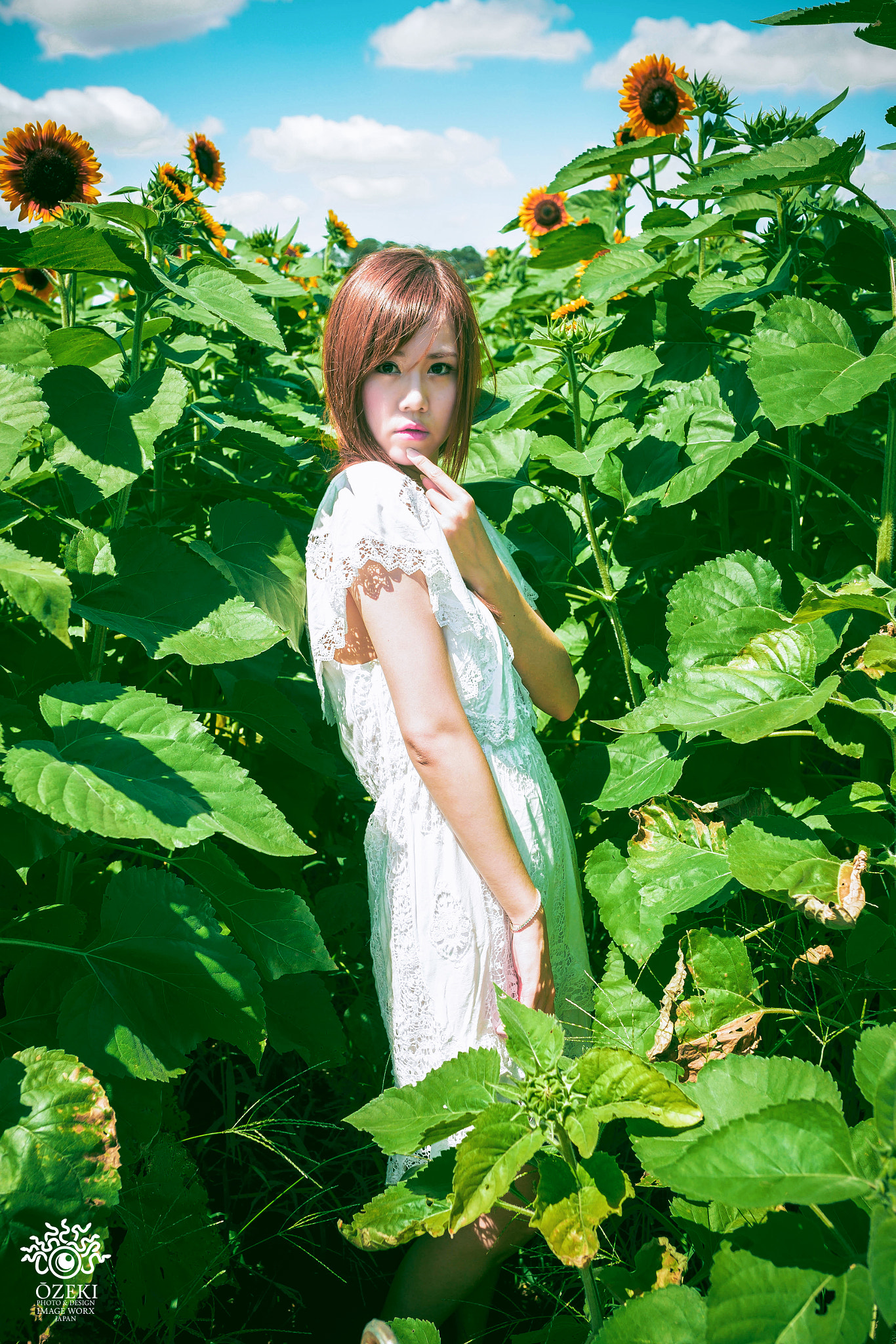 Sigma 35mm F1.4 DG HSM Art sample photo. Sunflwoer and girl photography