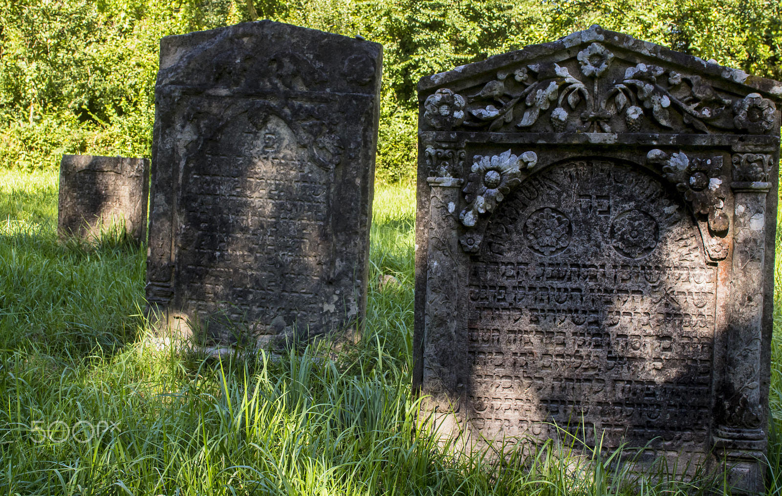 EF28-70mm f/2.8L USM sample photo. Old jewish graveyard in mackenheim photography